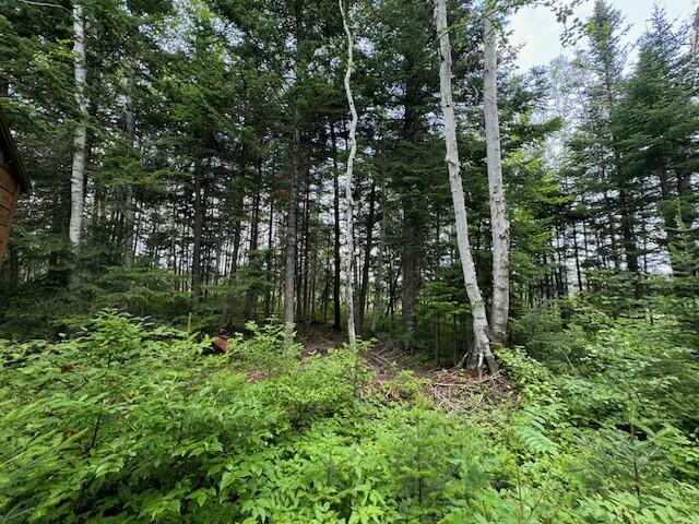 Lot UNIT&nbsp;3 Pleine Road, Saint Agatha, ME, 04772
