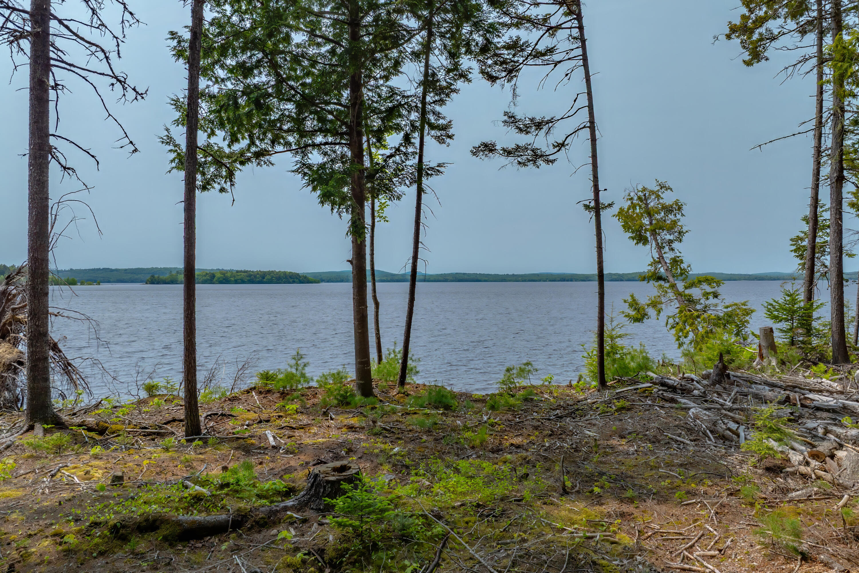 80 Bufford Drive, Waltham, ME, 04605