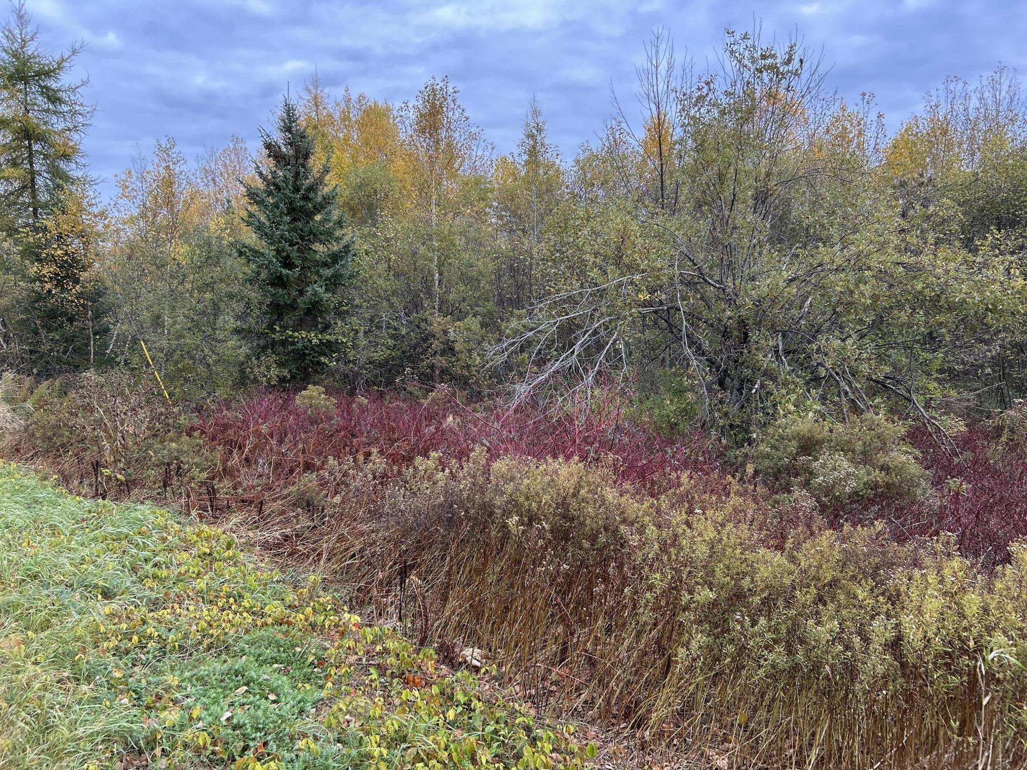 13 Benson Road, Biddeford, ME, 04005