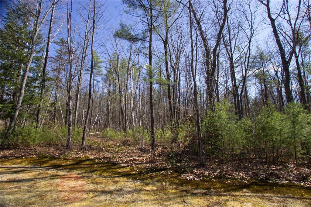 Lot 4 Jordan Woods Road, Bethel, ME, 04217