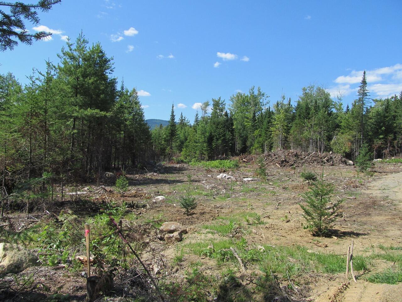 929 Center Hill Road Road, Weld, ME, 04285