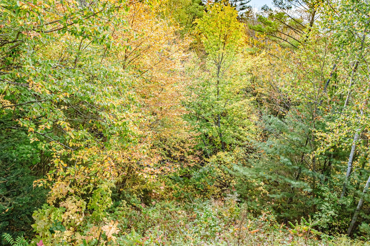 219 Irish Neighborhood Road, Greenwood, ME, 04255