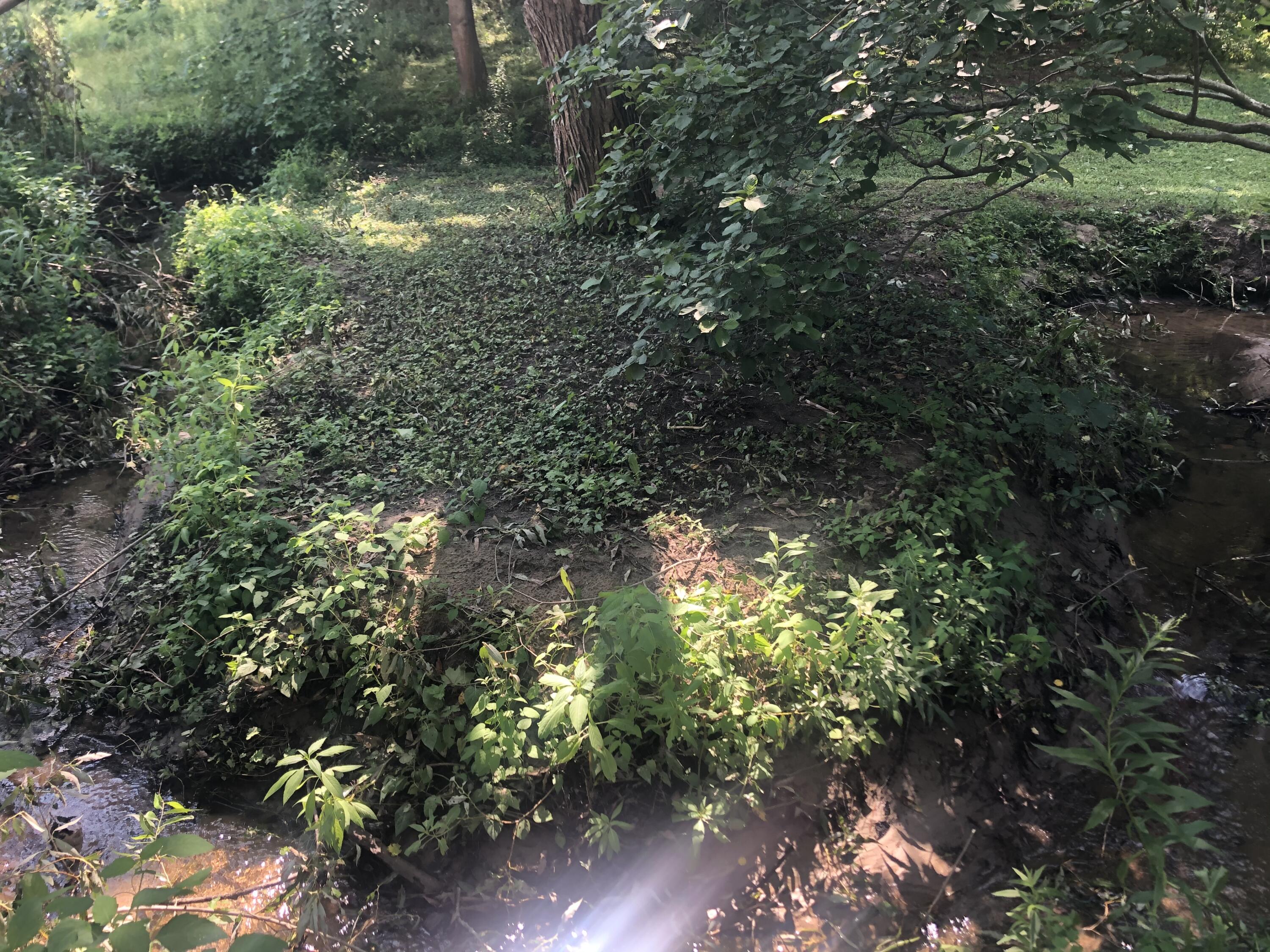 38 Main Street, Topsham, ME, 04086