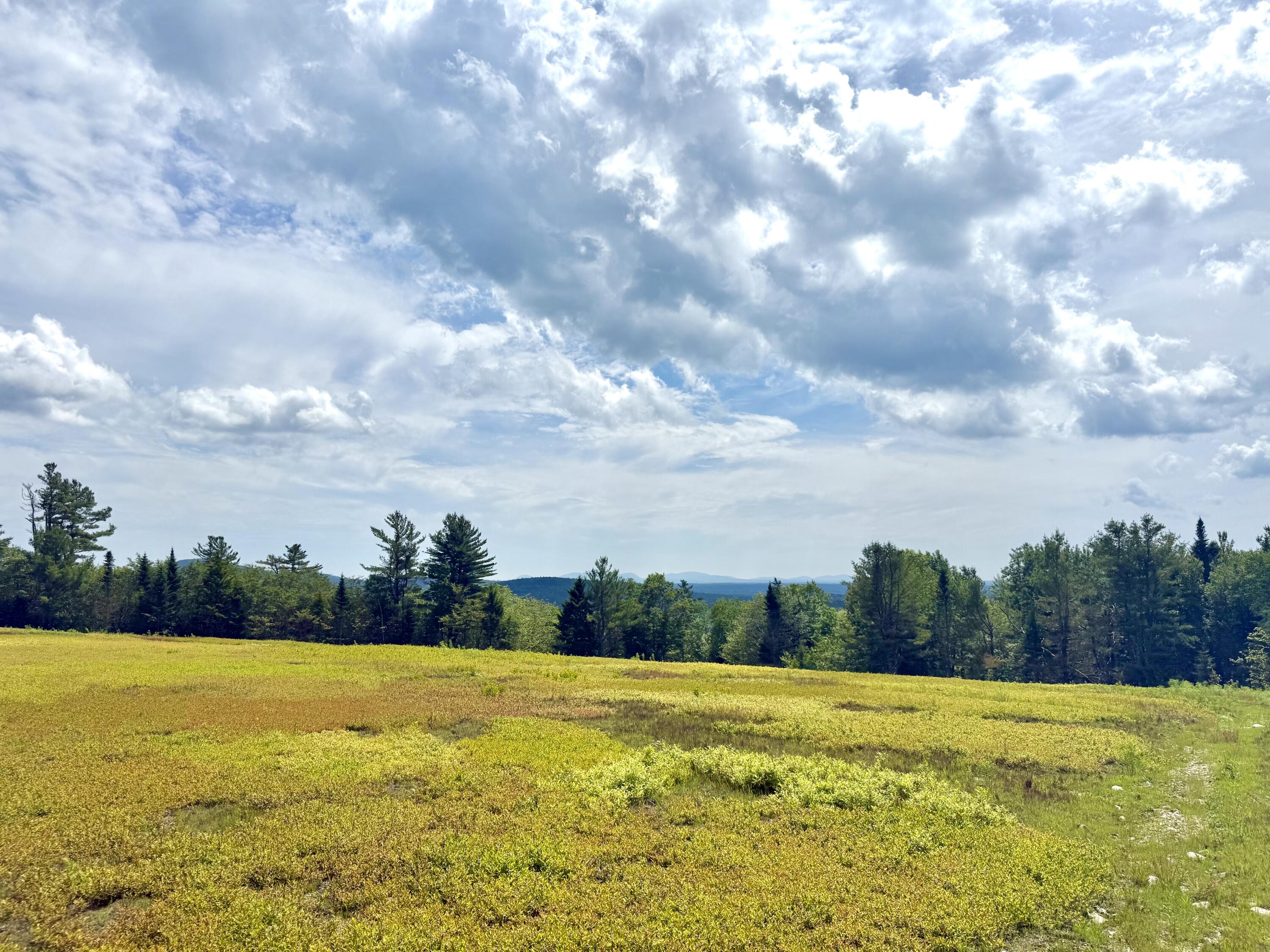 MAP13LOT11 Martins Ridge Road, Franklin, ME, 04634