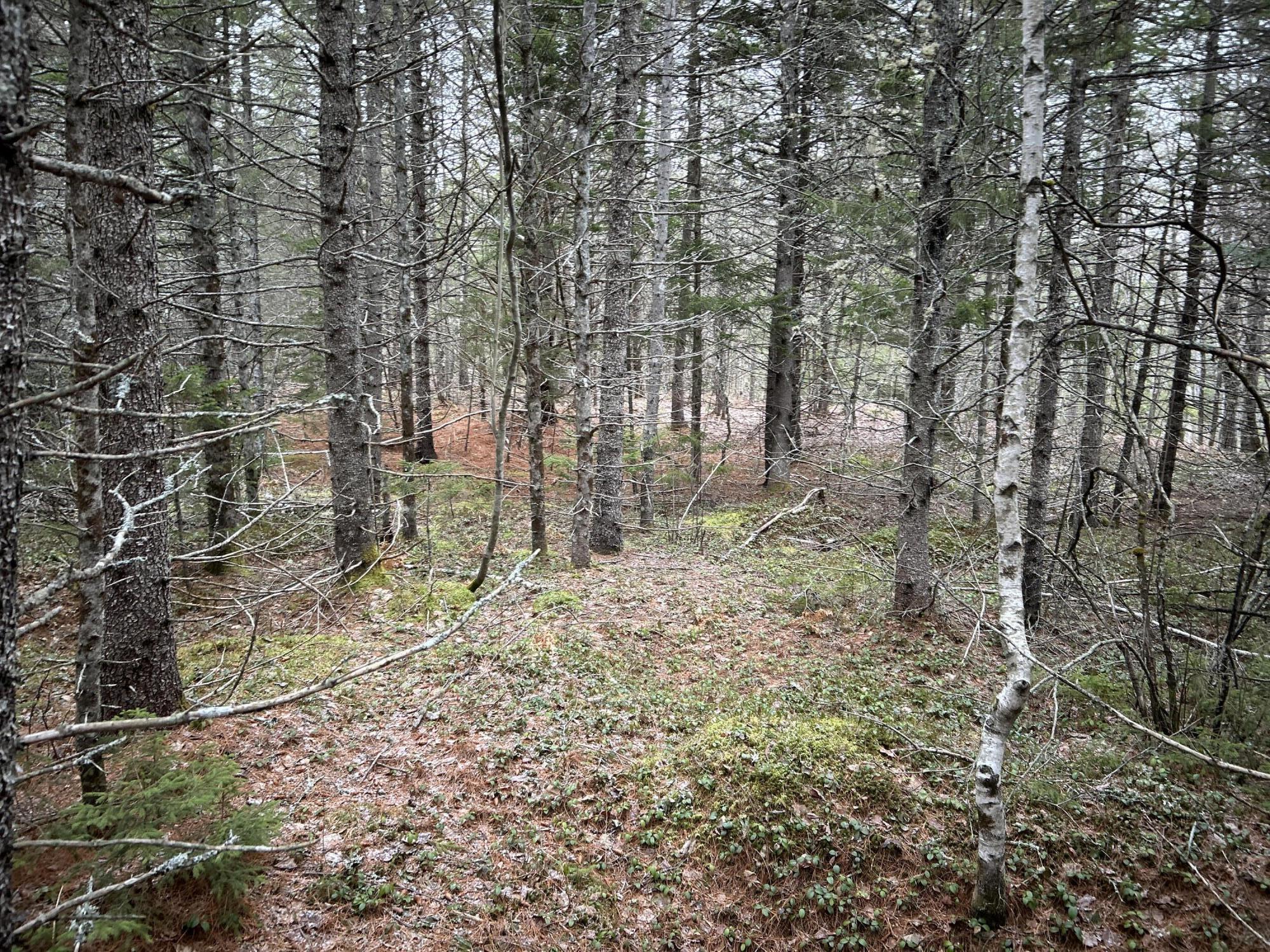 WA31P01L21 Kings Street, Dennysville, ME, 04628