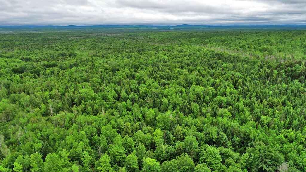 823 US RT 1, Amity, ME, 04471