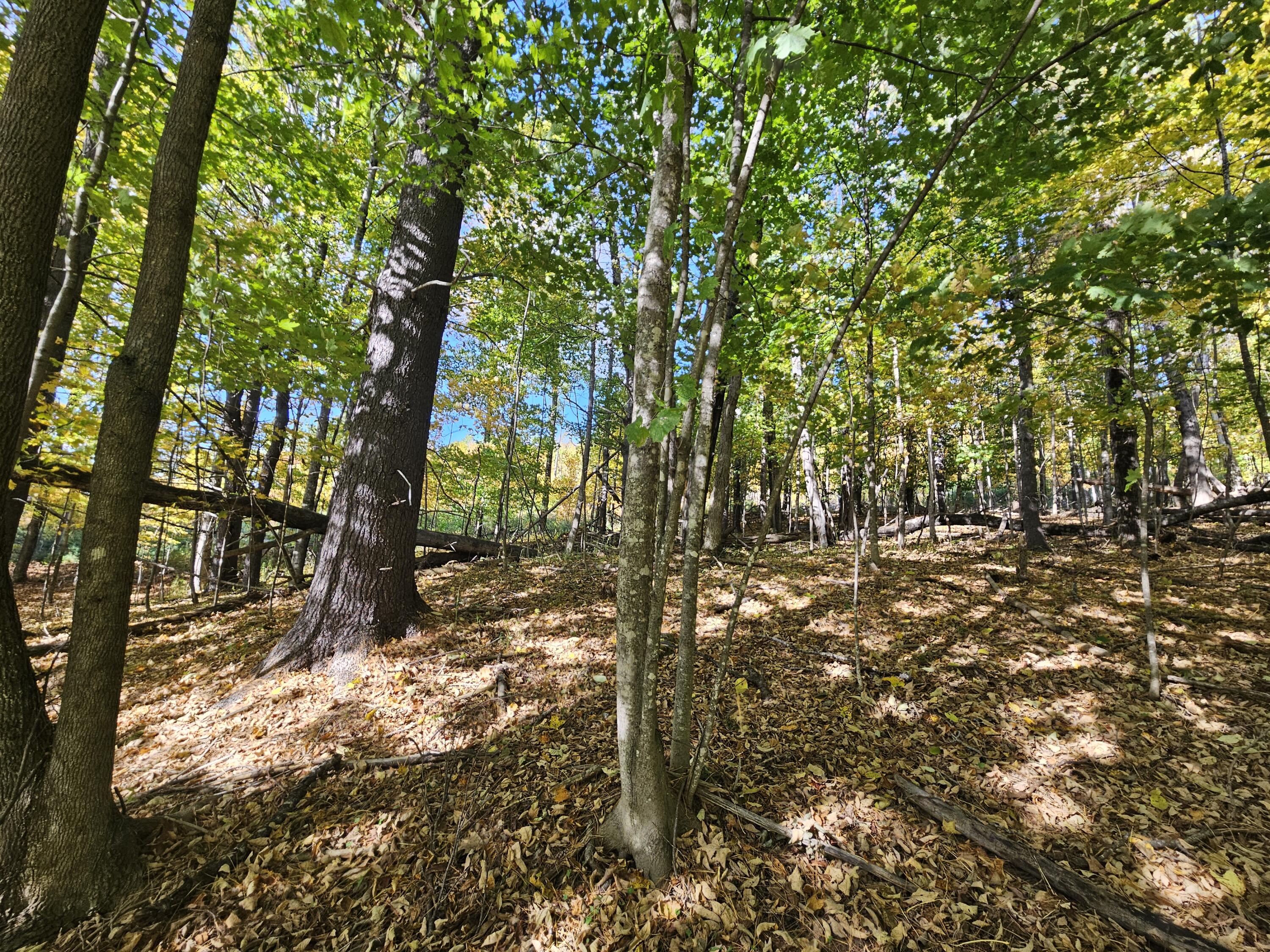 R-5 13-A Norton Hill Road, Strong, ME, 04983