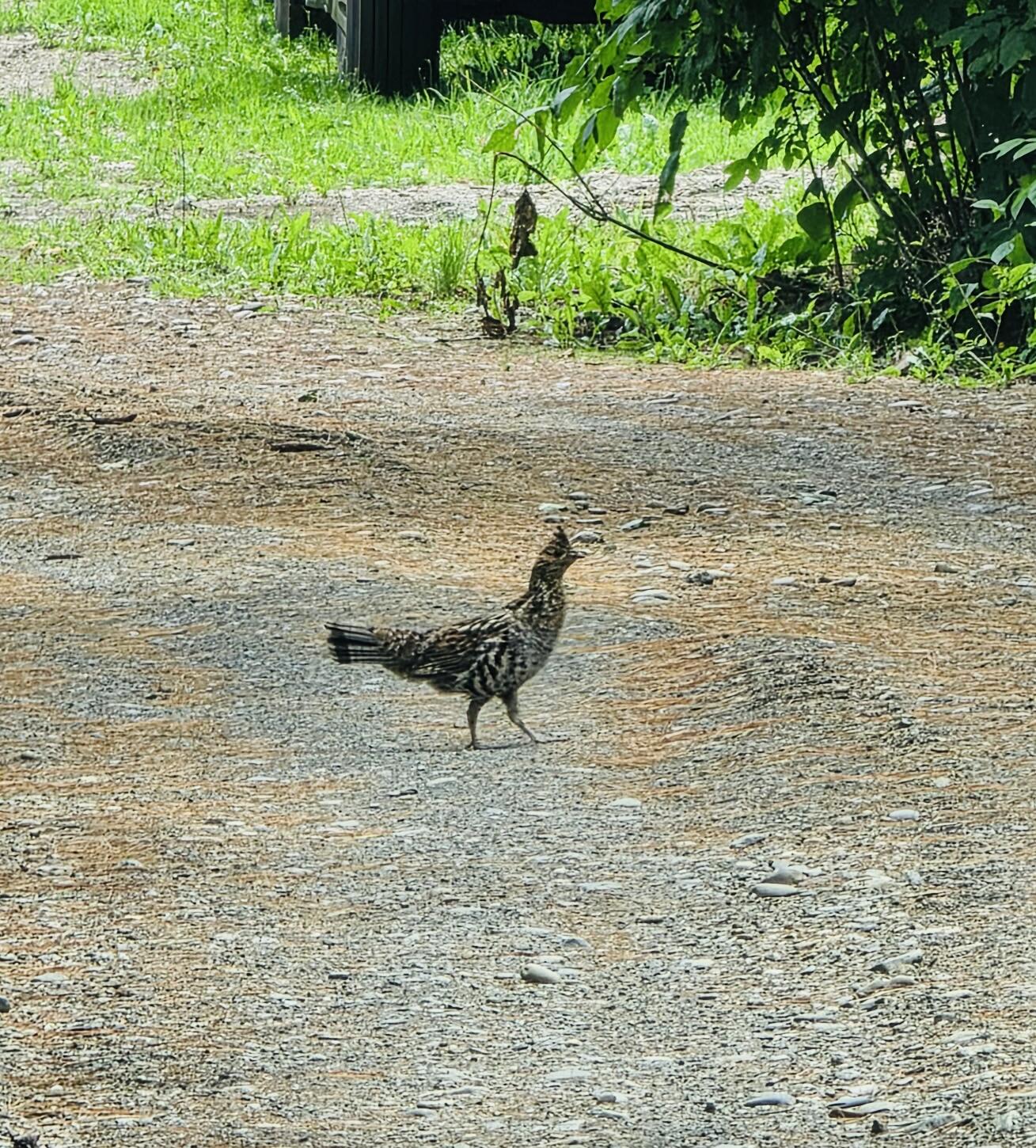 28 Messina Drive, Skowhegan, ME, 04976