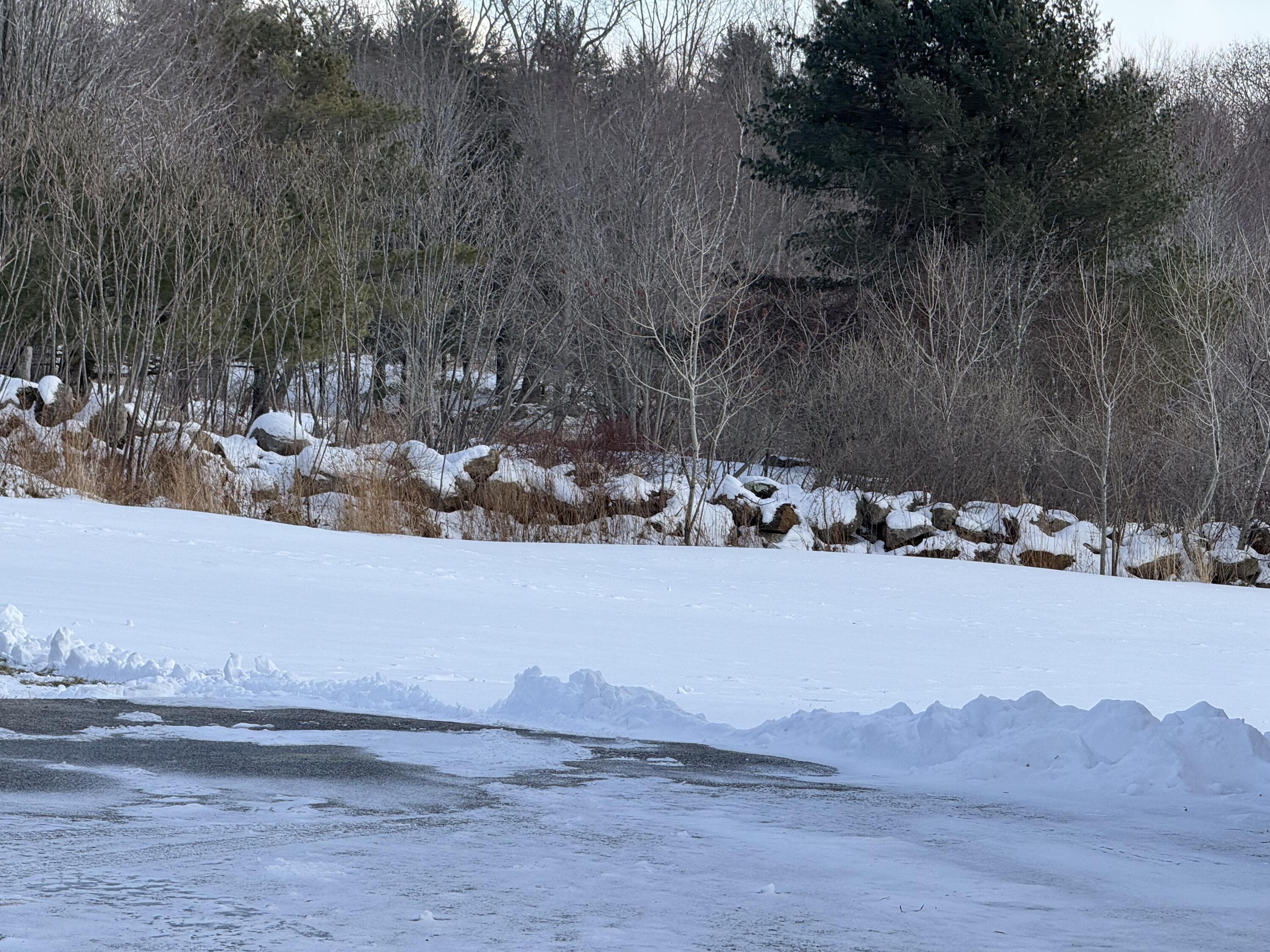 8 Durgin Farm Road, Limington, ME, 04049