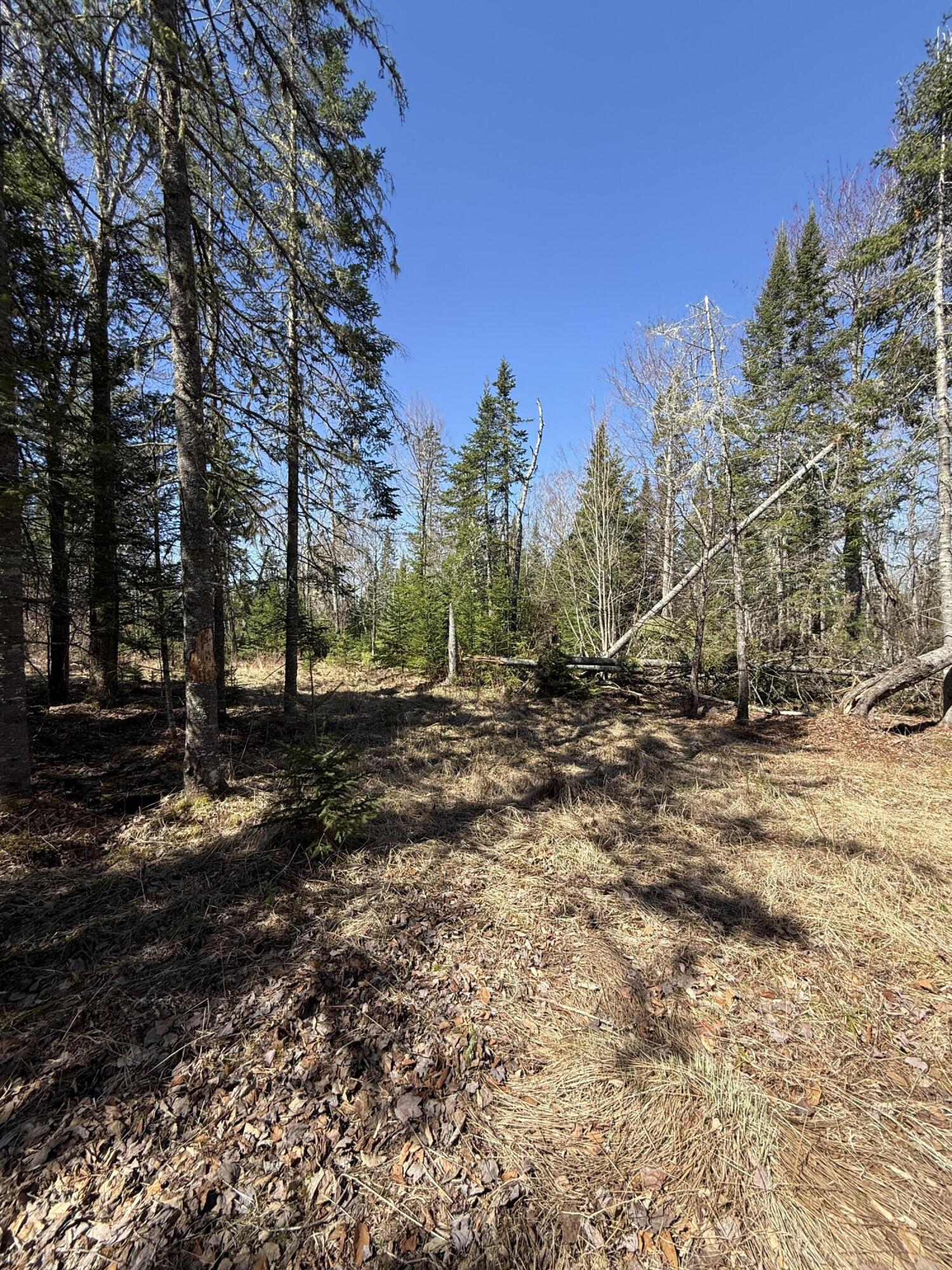 Lot 016-01 142 Old Fisher Rd Road, Holden, ME, 04429