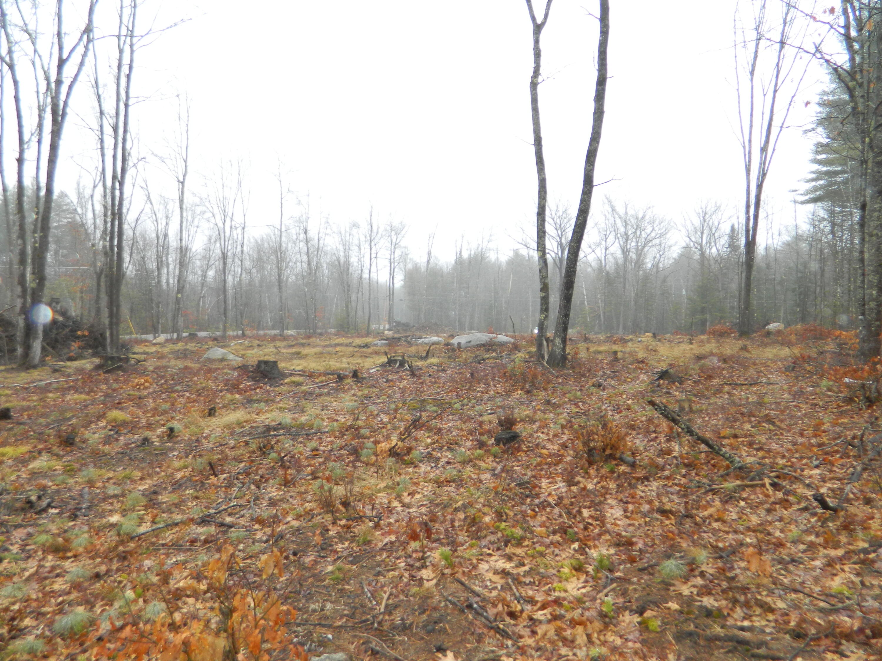Lot 9 Sierrahs Way, Sidney, ME, 04330