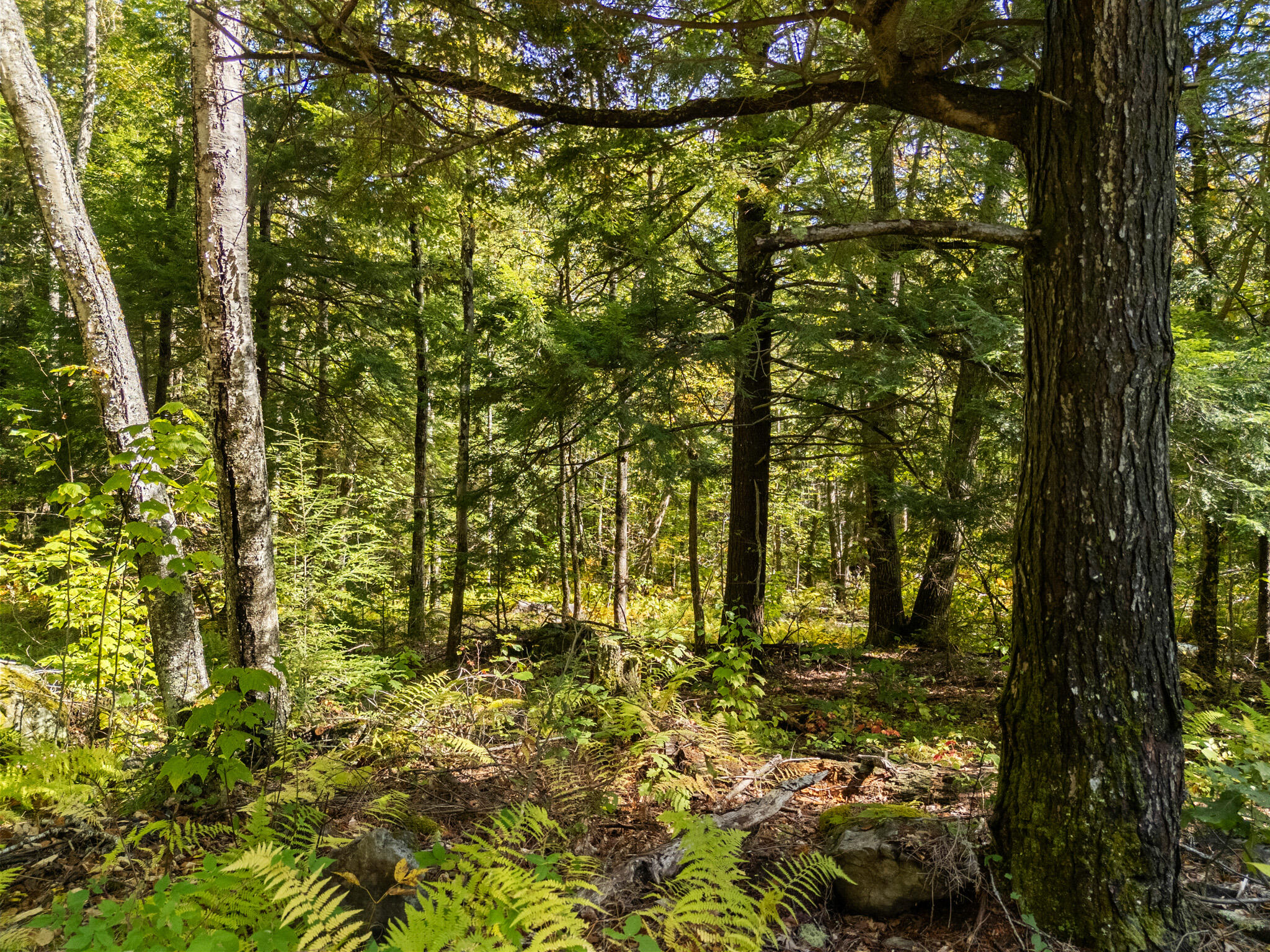 Lot UNIT&nbsp;1 Millay Lane, Union, ME, 04862