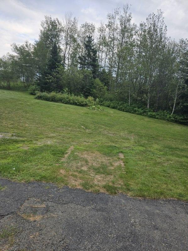 1755 Van Buren Road, Connor Twp, ME, 04736