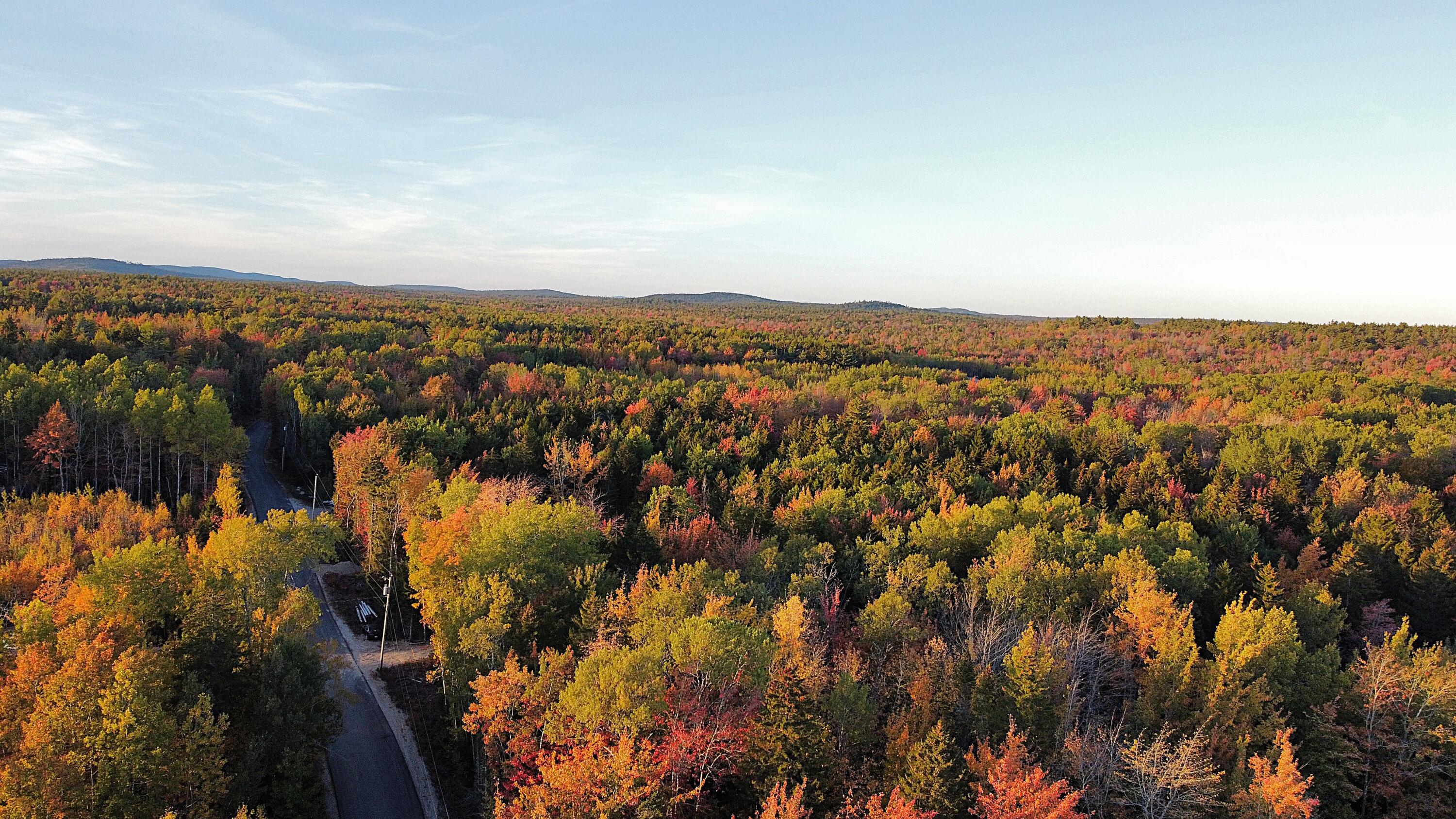 023-003-4 Walters Road, Gouldsboro, ME, 04607