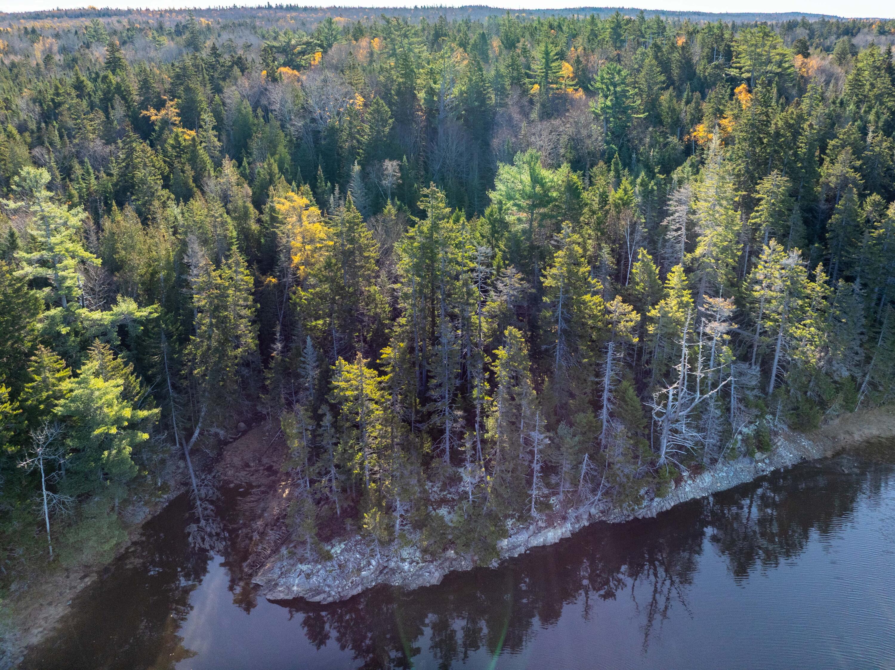 01-4 WA035, Trescott Twp, ME, 04652
