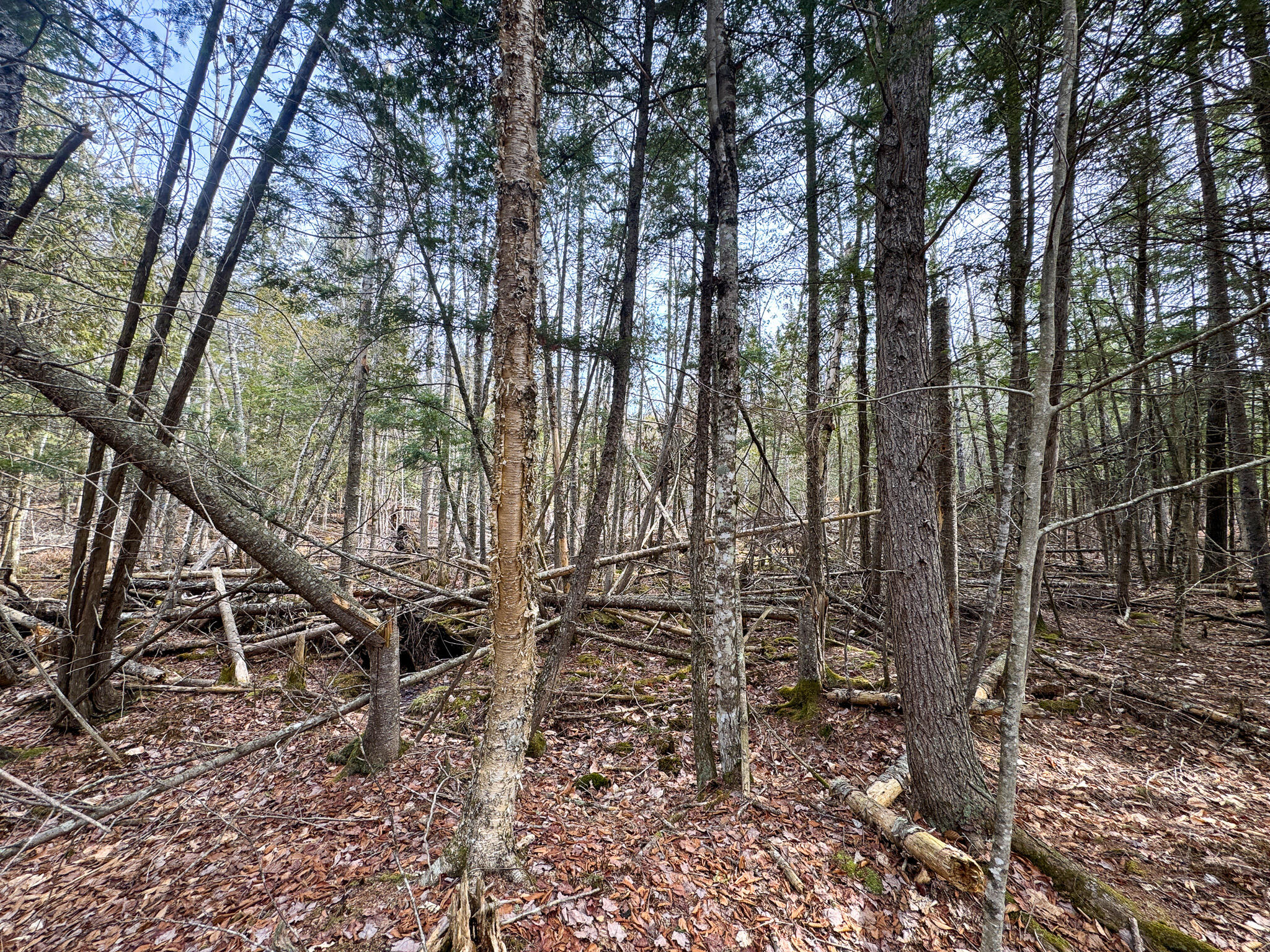 M11L10 Off Gordon Hill Road, Thorndike, ME, 04986