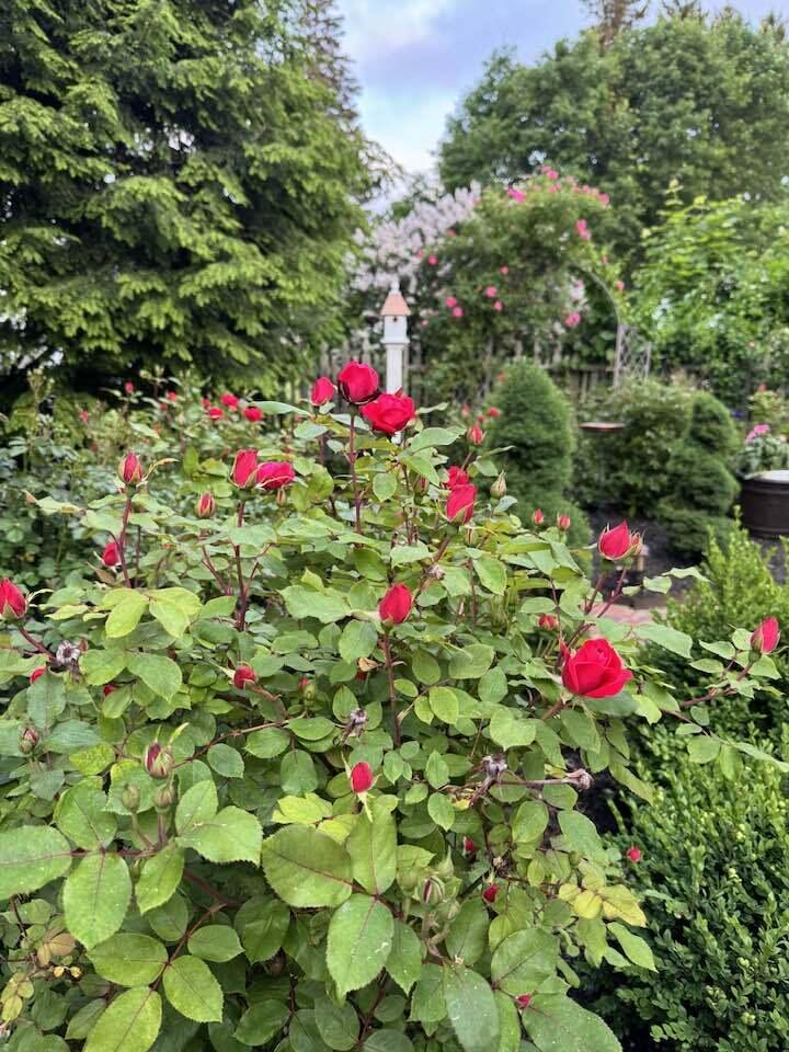 45 Mitchell Road, South Portland, ME, 04106