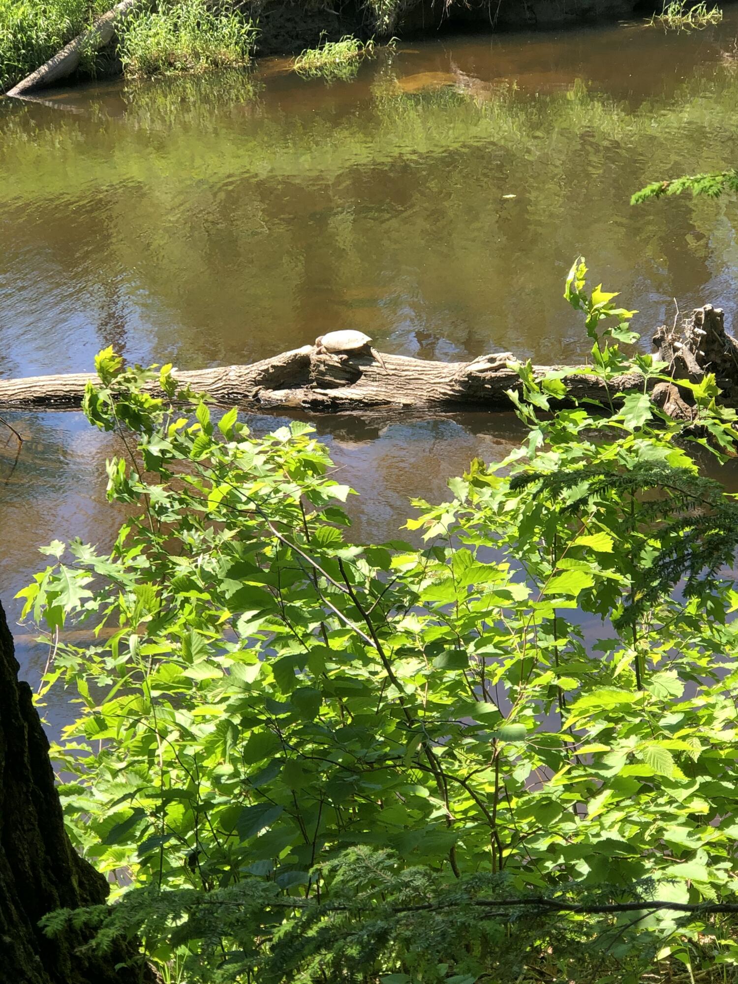 171 Fisher Road, Monroe, ME, 04951