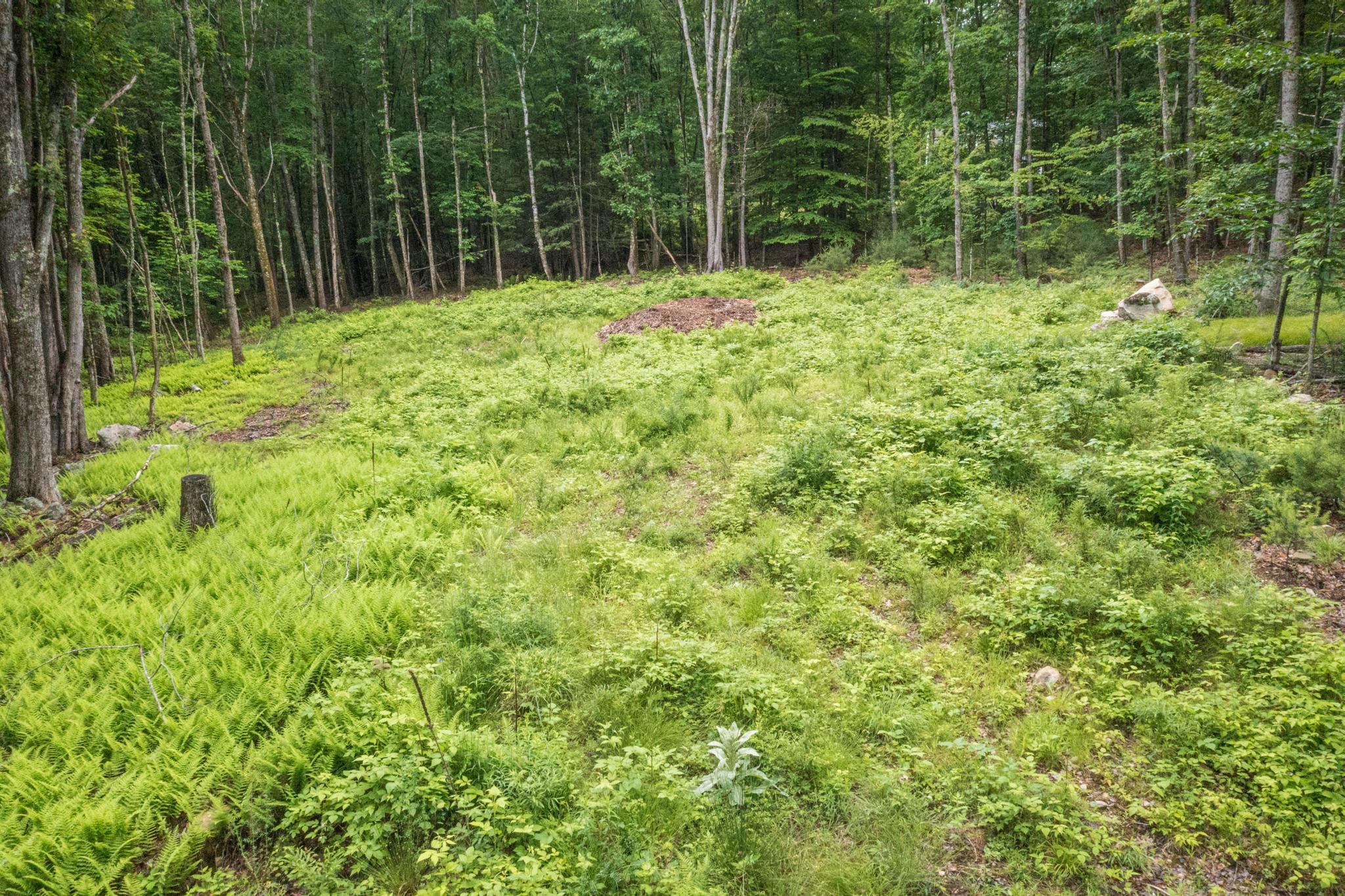 Photo of Lot 5 Stonecrop Farm Lane Eliot ME 03903