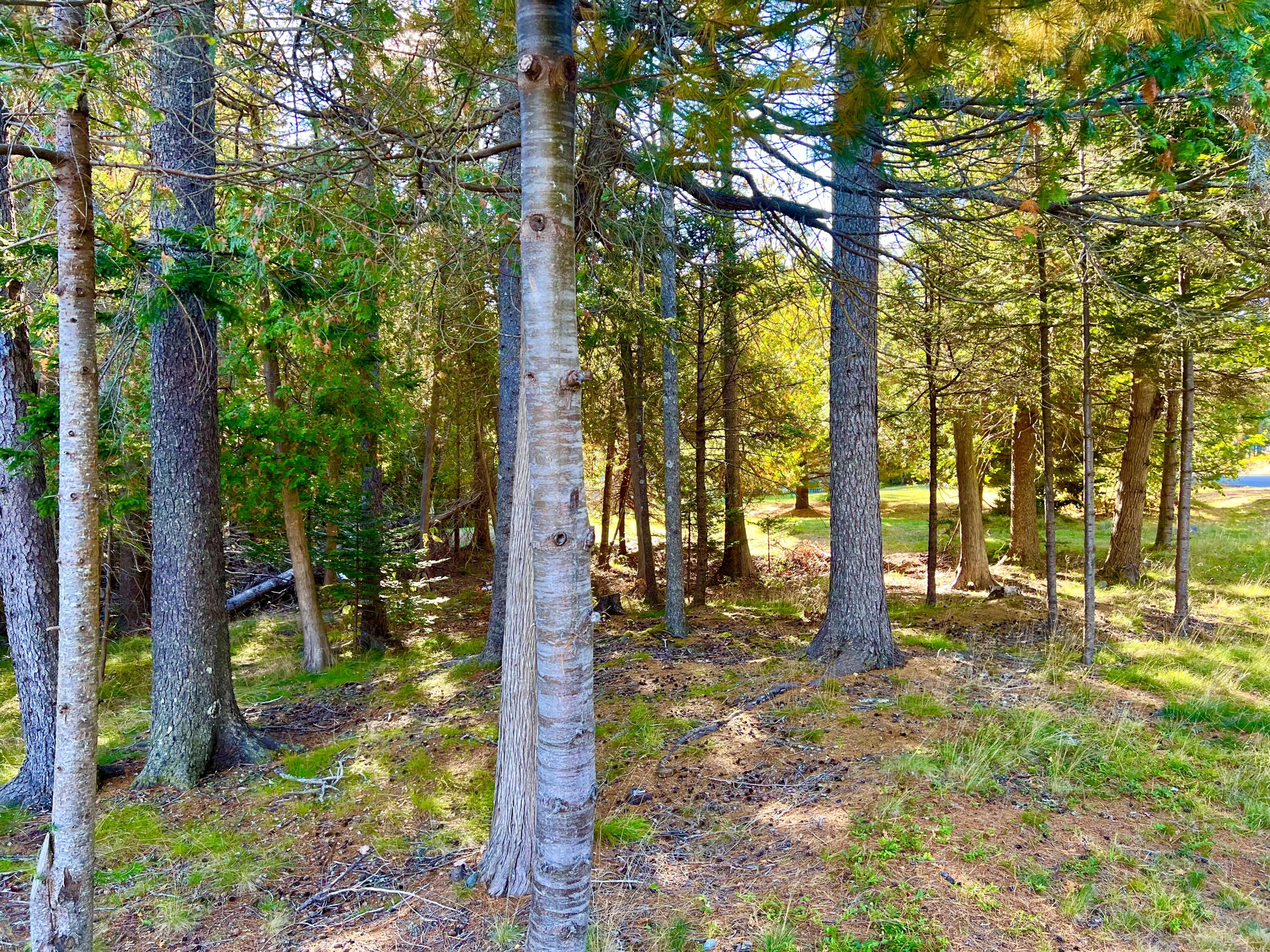 17 Freeman Ridge Road, Southwest Harbor, ME, 04679