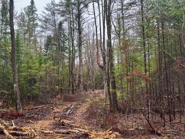 SO 001 Plan 2 Lot 16.1 Long Falls Dam Road, Lexington Twp, ME, 04961