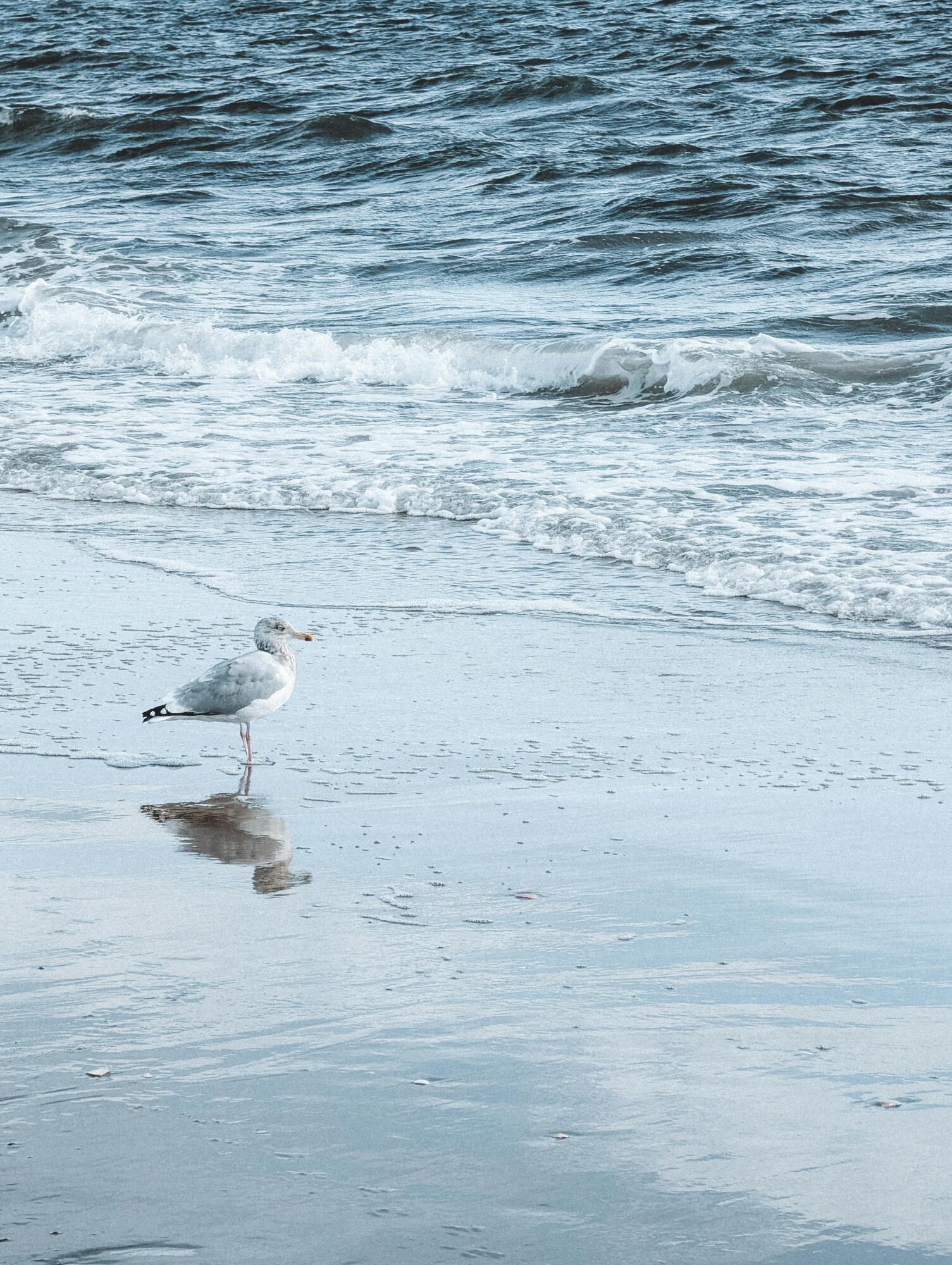 2 River Road, York, ME, 03902