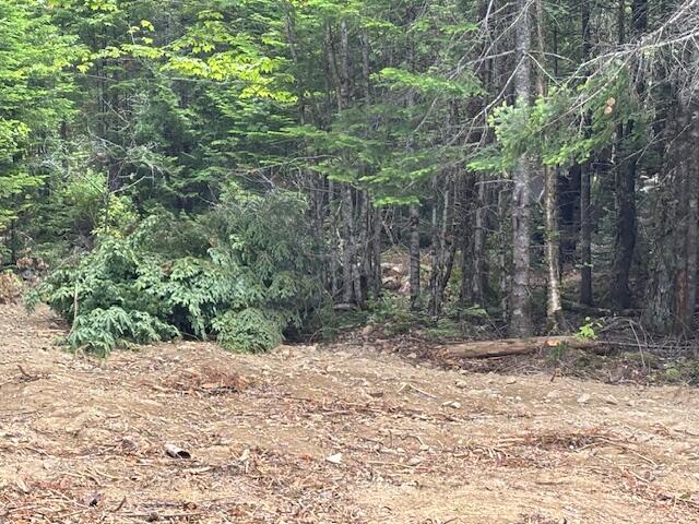 0 Dead Stream, Cooper, ME, 04657