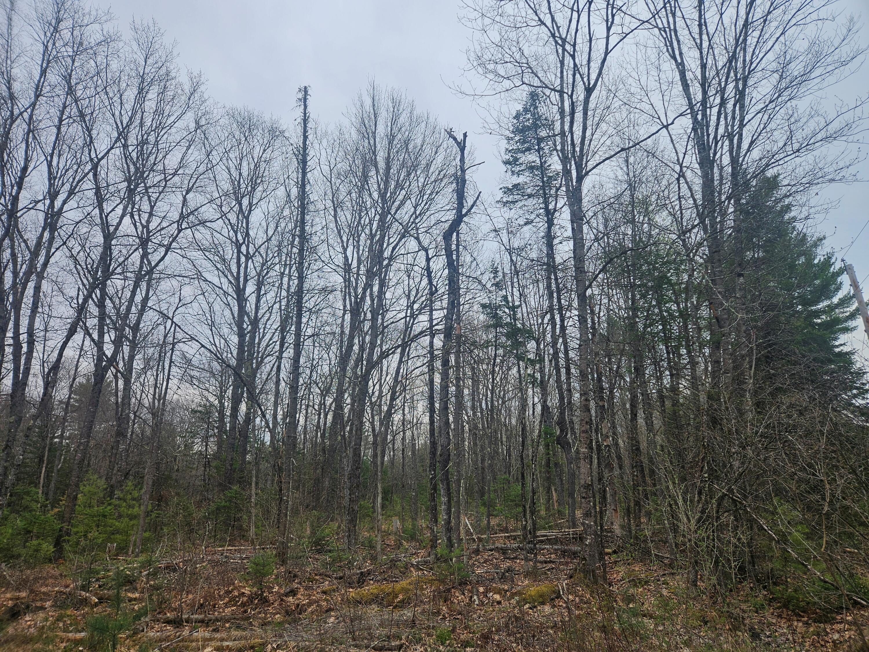 Photo of Lot 14-2,3 Perkins Road Burnham ME 04922