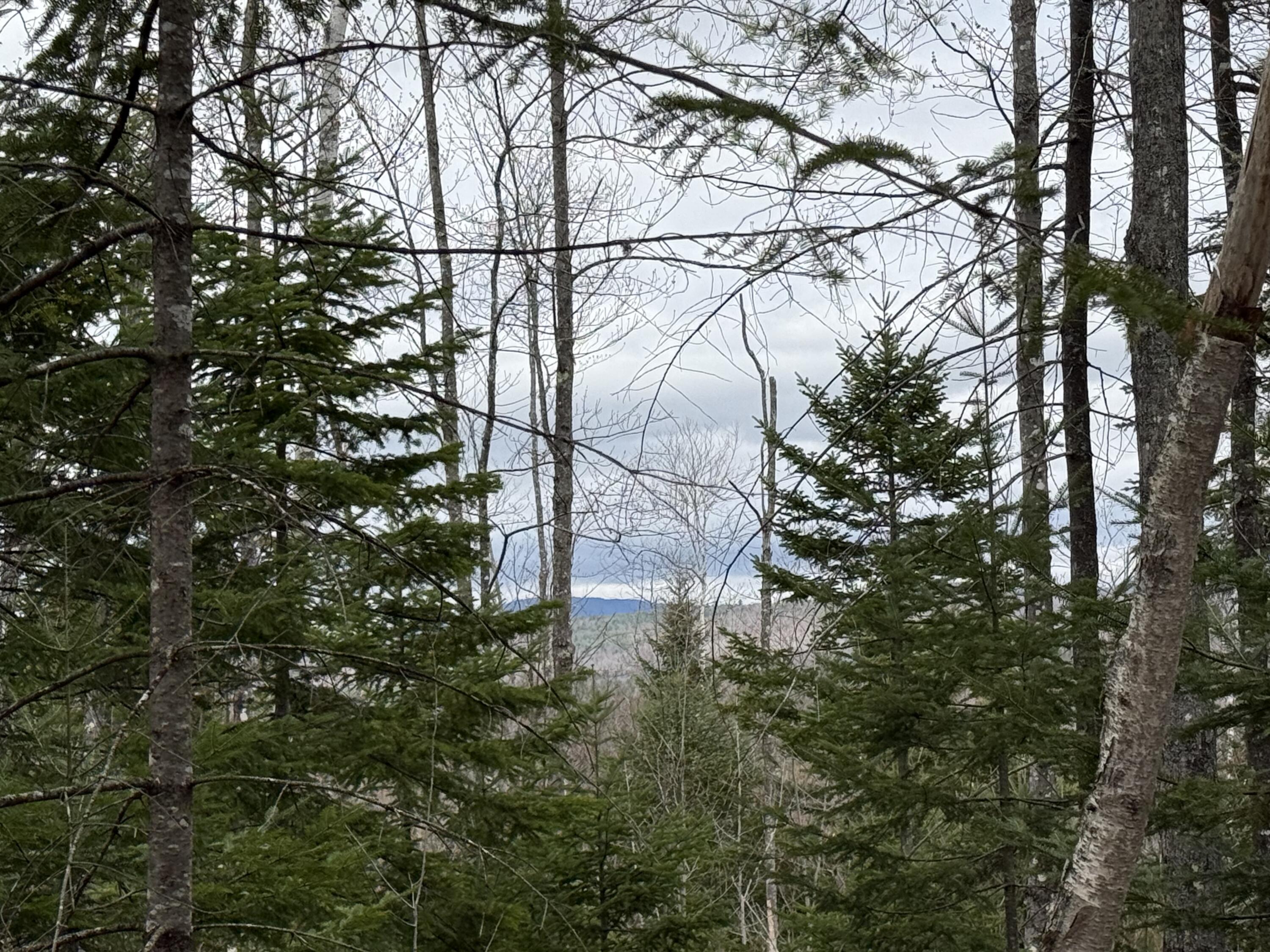 Map 15, Lot 109, Main Street, Franklin, ME, 04634