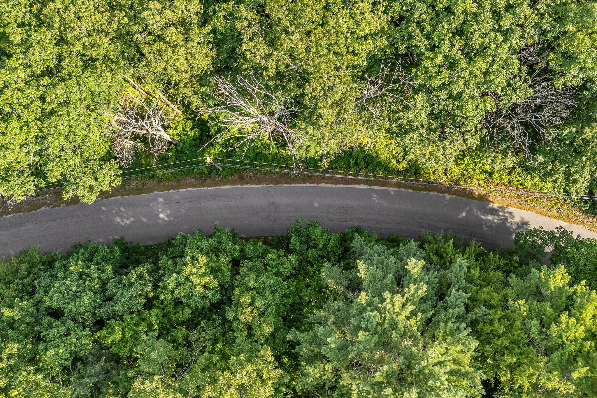 0 Sedgley Road, Greene, ME, 04236