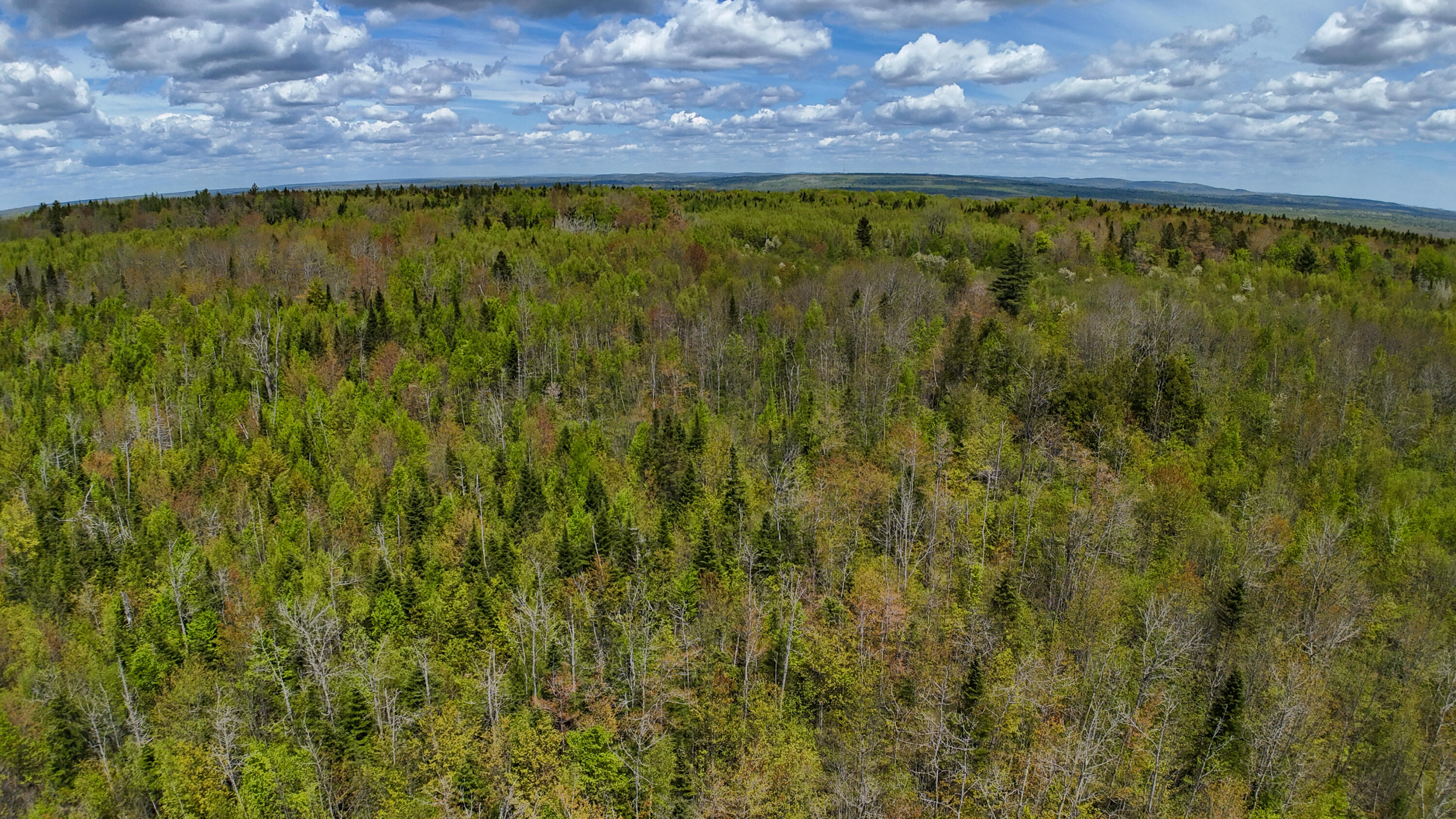 Lot 4 E Ridge Road, Cooper, ME 04657 RIDGE ROAD LOT 4-11