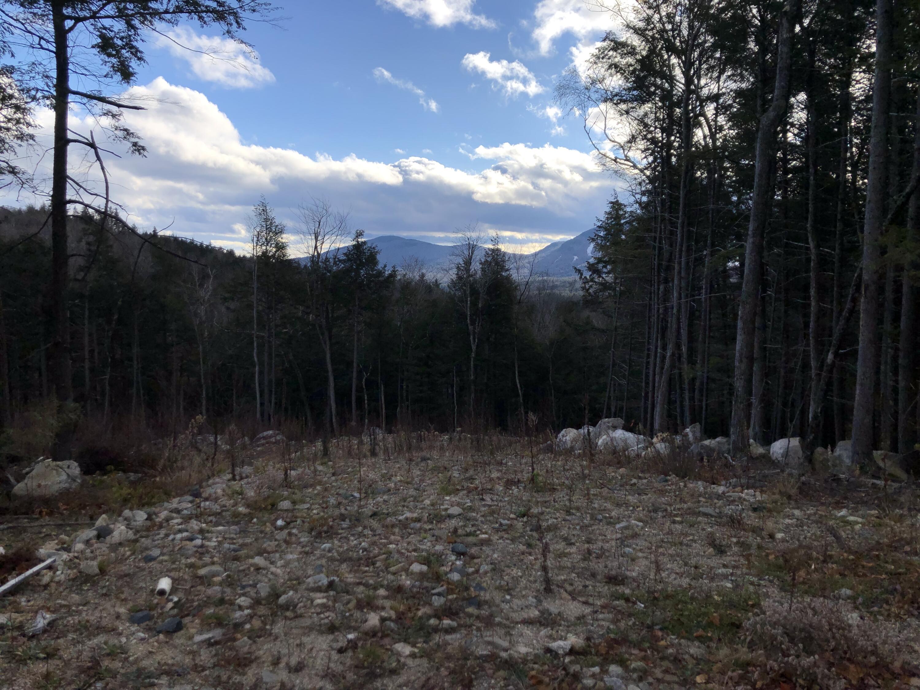 Lot 67 Snowbird Lane, Newry, ME, 04261