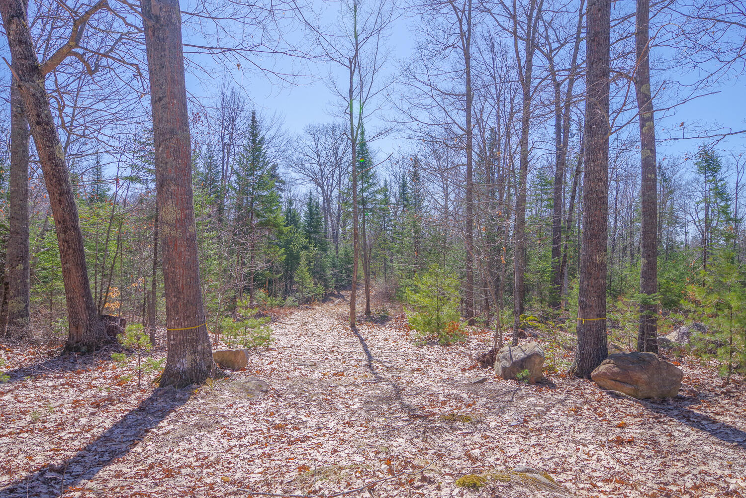 00 Higgins Hill Road, Morrill, ME, 04952