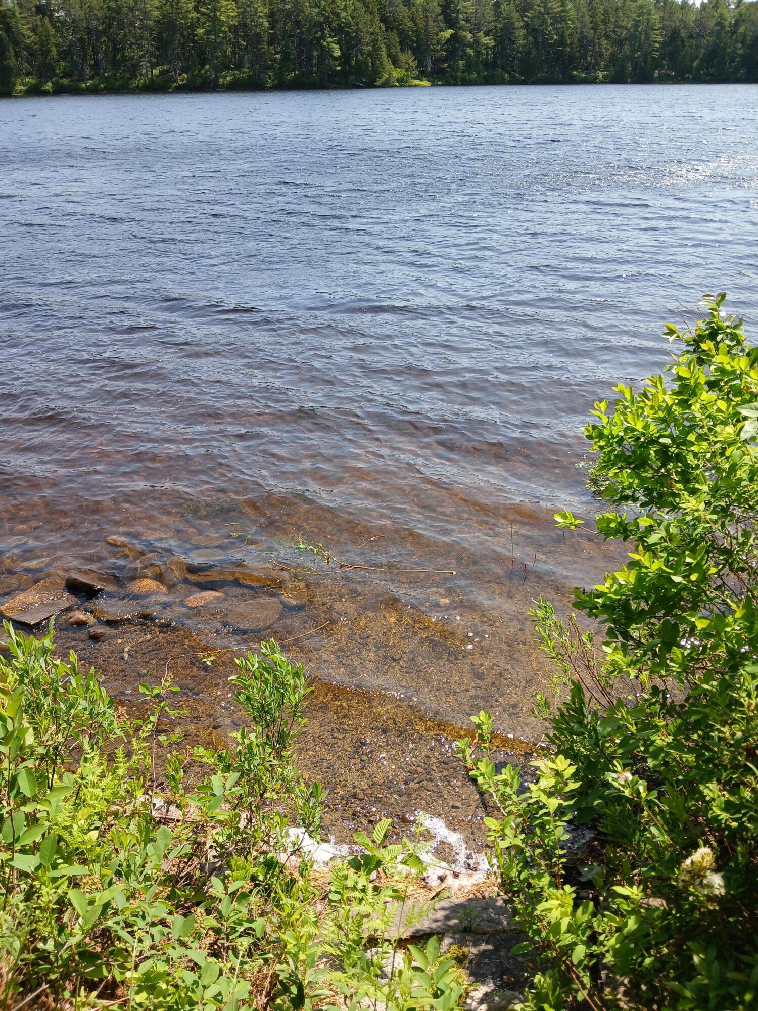 Lot UNIT&nbsp;16.2 Lane Pond Road, Carrying Place Town Twp, ME, 04961