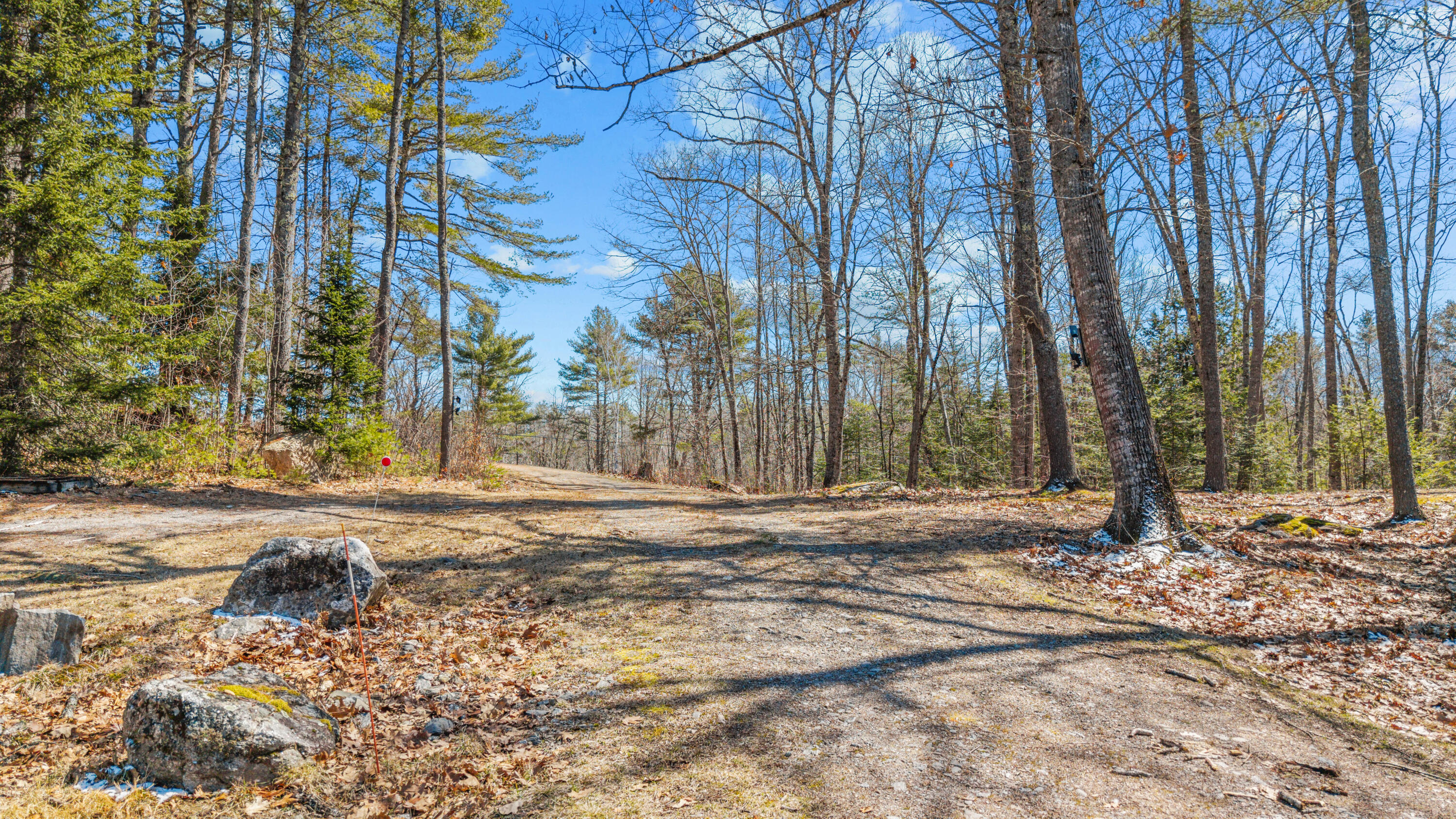 Search Homes for Sale