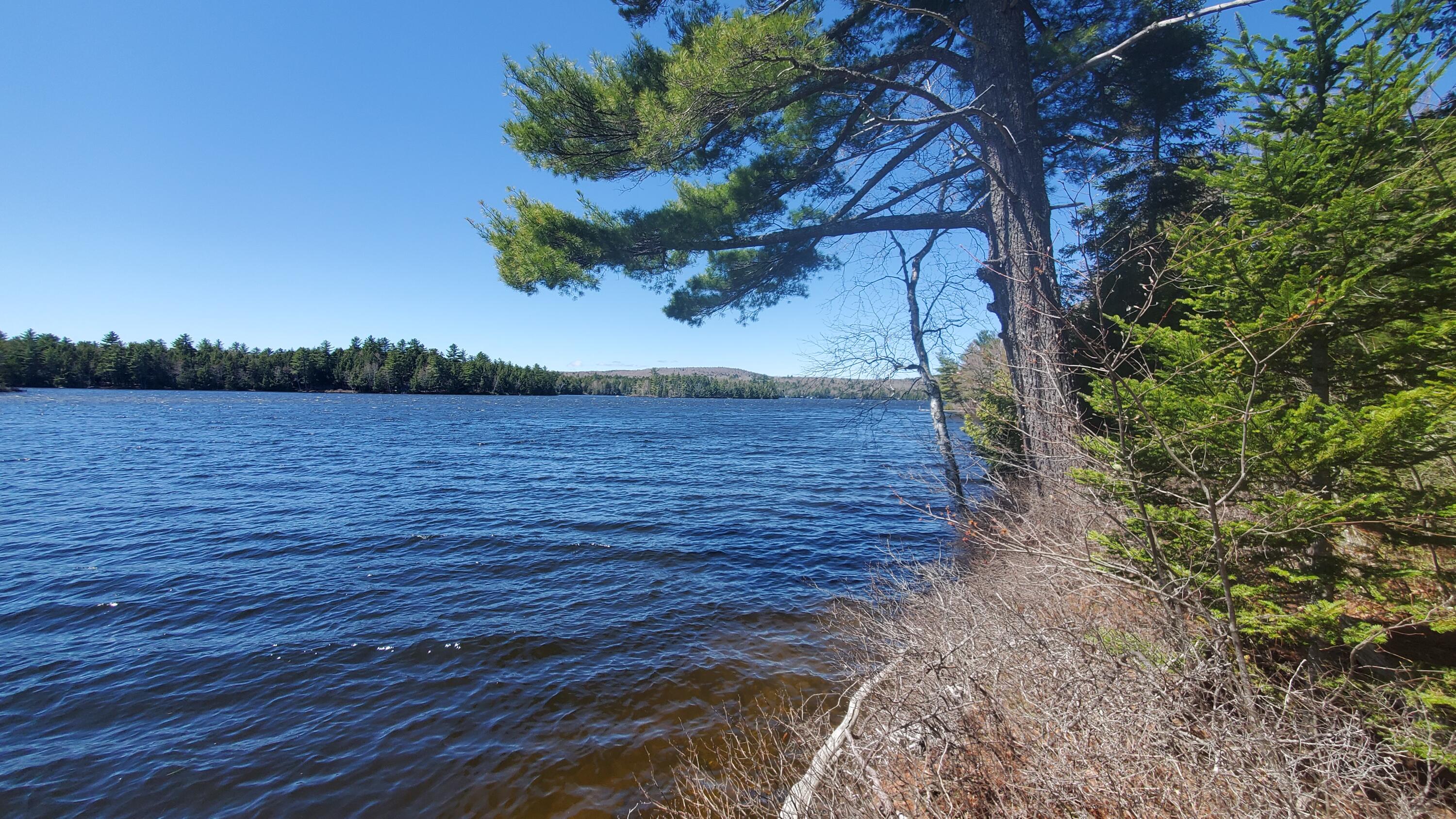 307 Lakeville Shores Road, Lakeville, ME, 04487