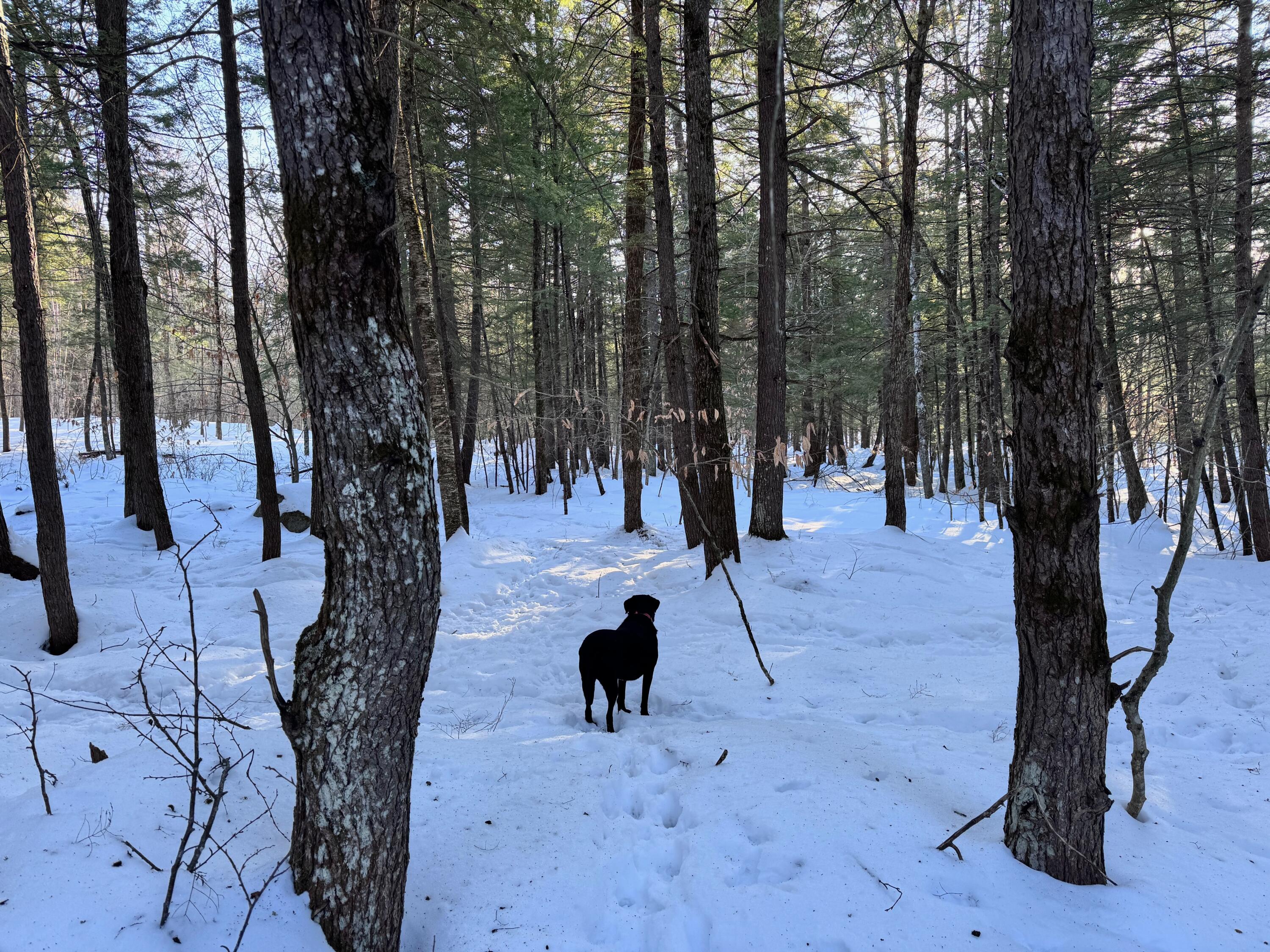 M10L44 Mountain View Road, Fryeburg, ME, 04037