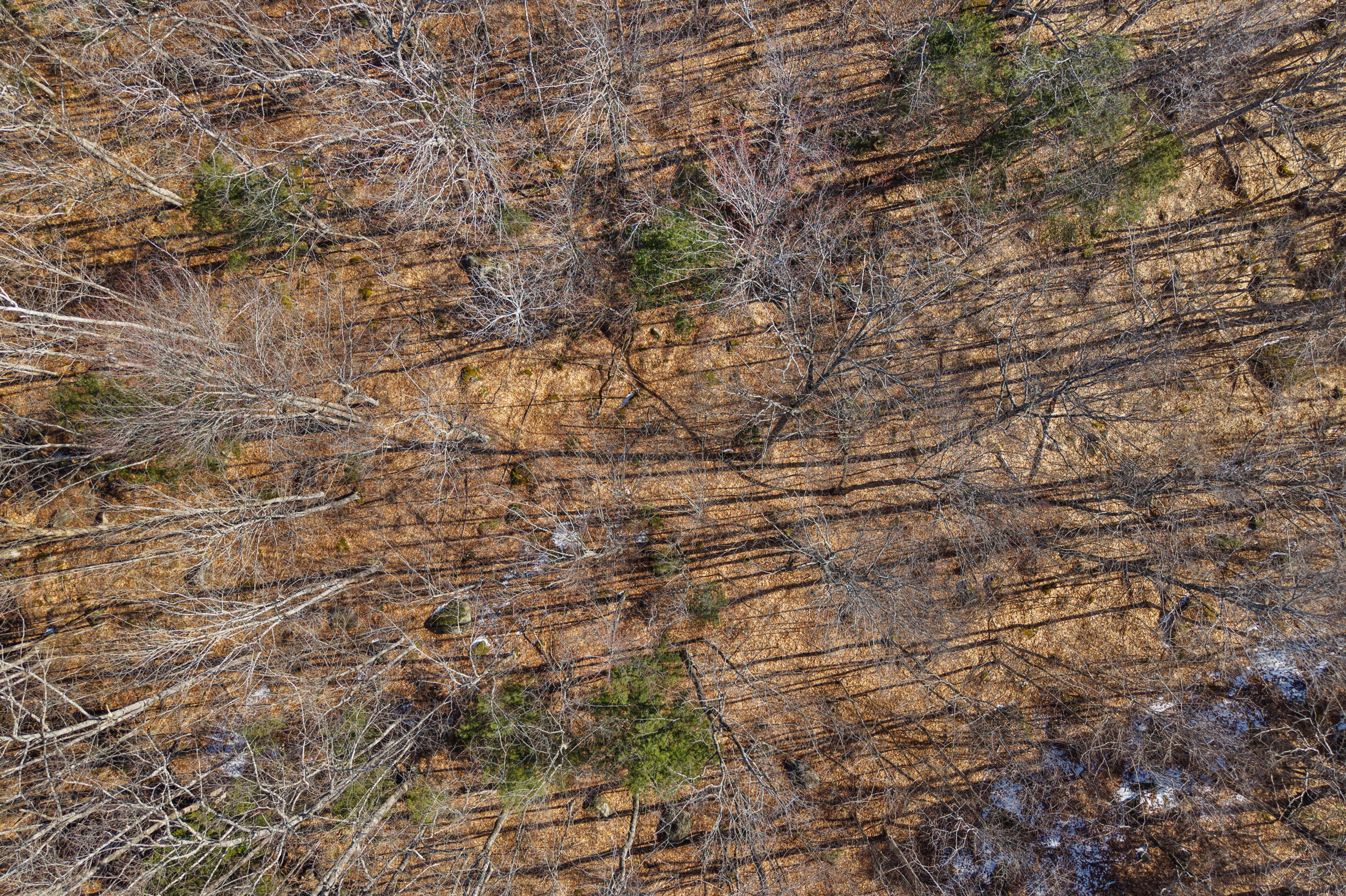 010 Main Street, Sumner, ME, 04220