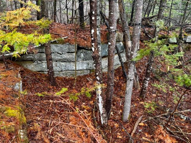 SO 001 Plan 2 Lot 16.1 Long Falls Dam Road, Lexington Twp, ME, 04961