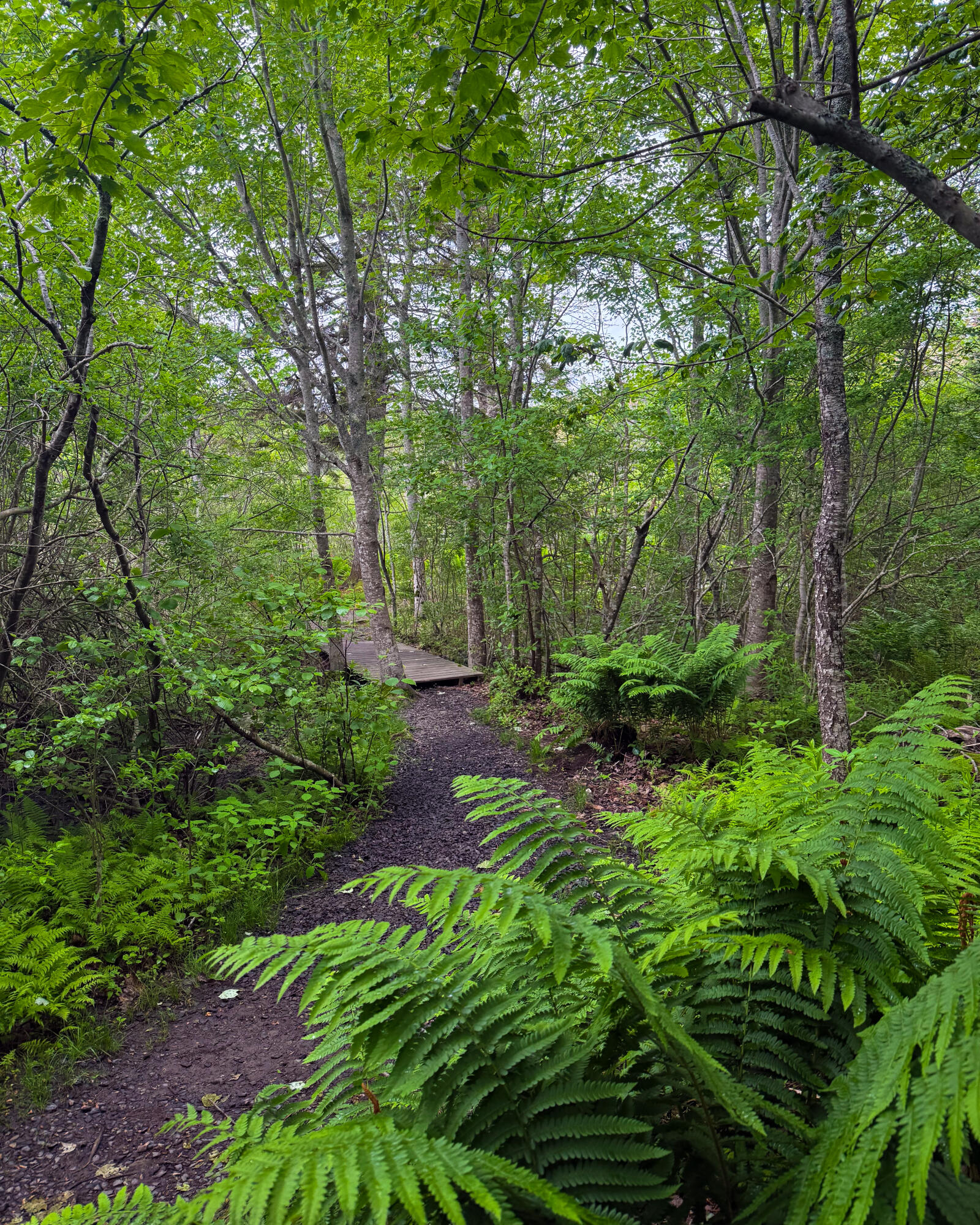 260 Clark Island Road, Saint George, ME, 04859