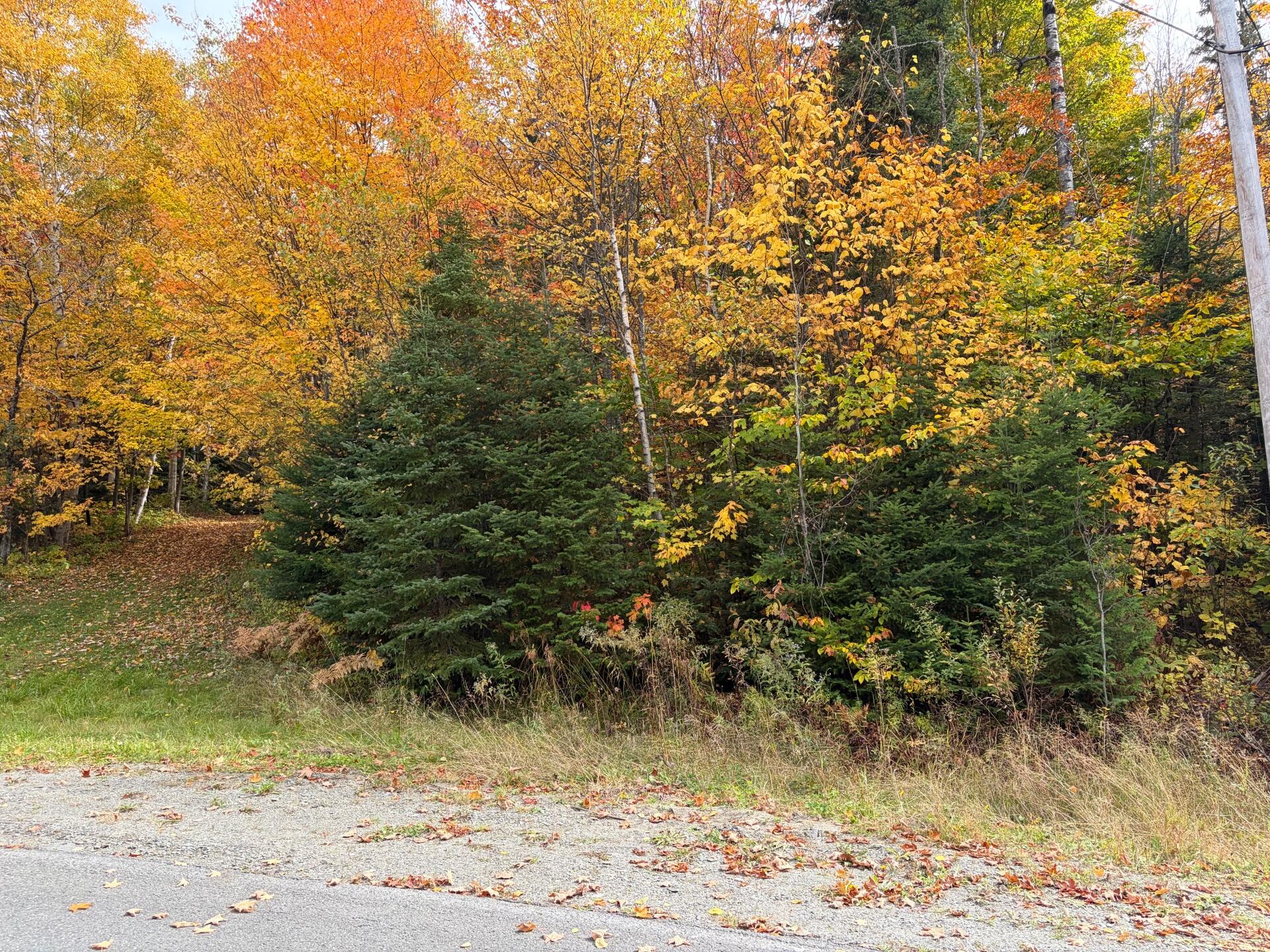 Property photo for 161 3rd Avenue, Fort Kent, ME