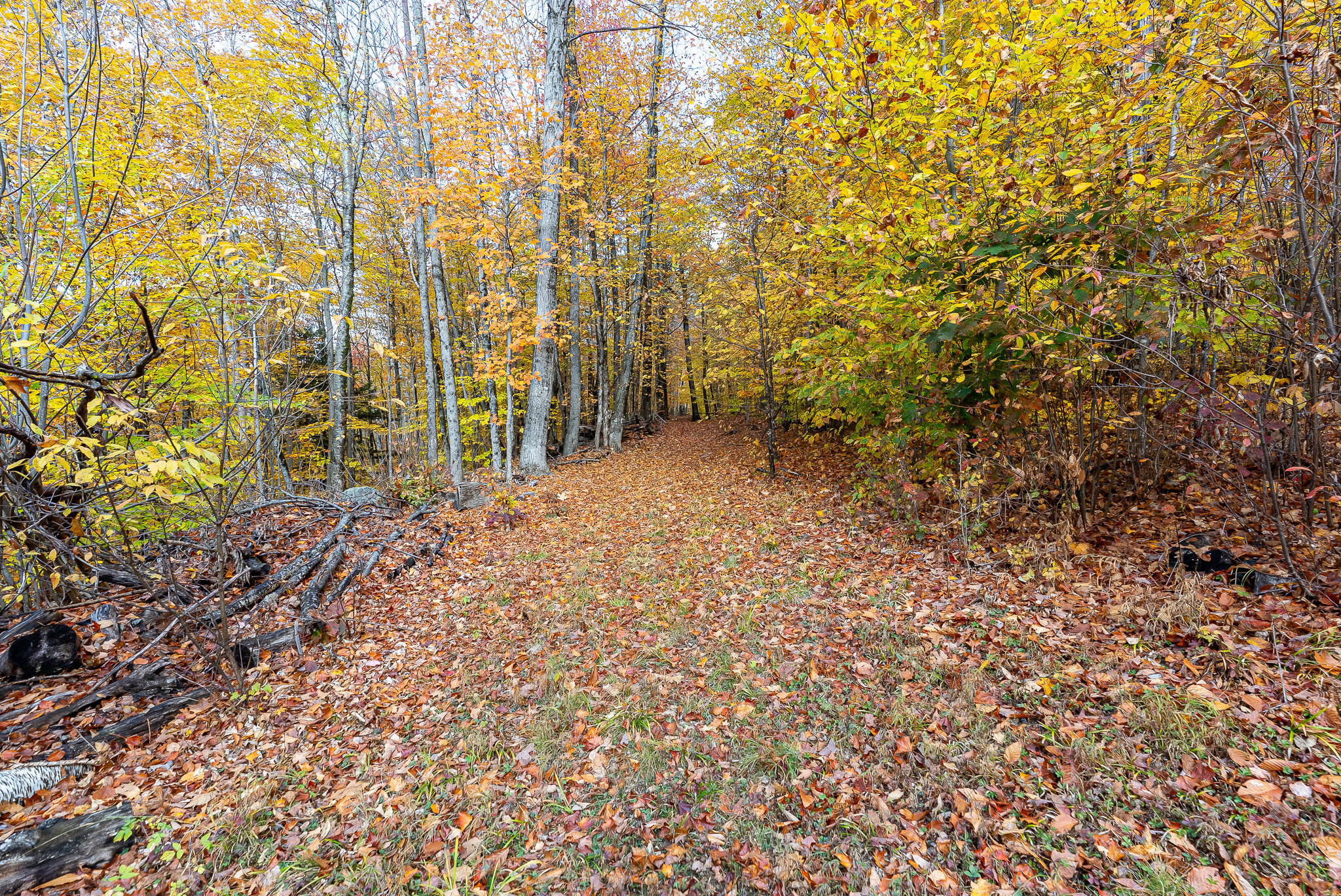 264 Day Mountain Road, Temple, ME, 04984
