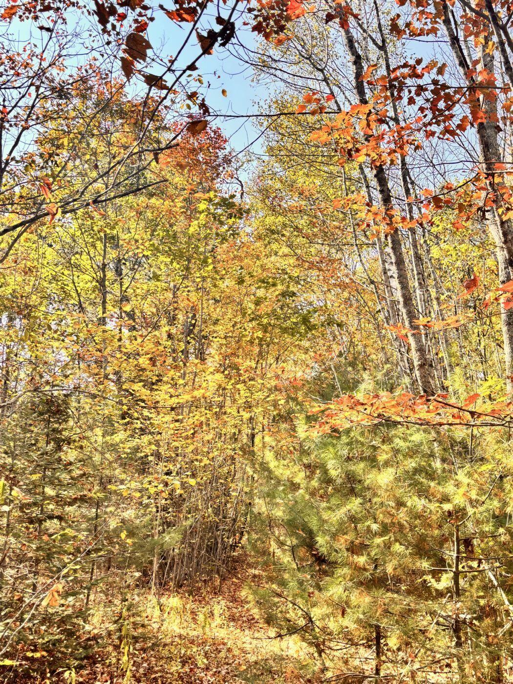 150 Bowden Point Road, Prospect, ME, 04981