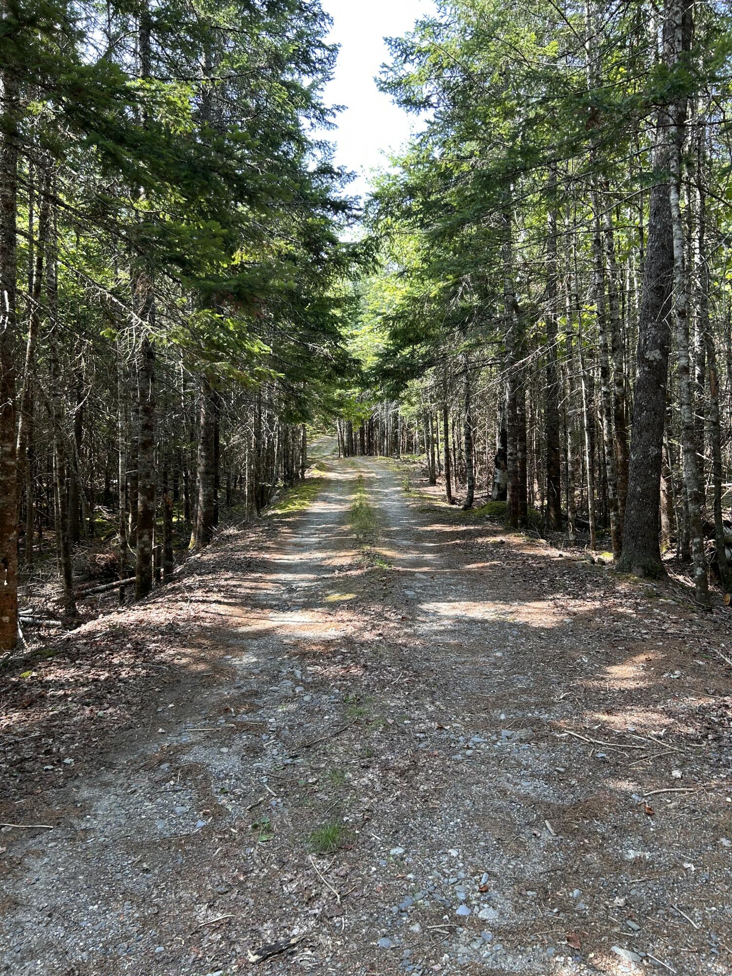 31 Sportsmen's Lodge Road, Marshfield, ME, 04654