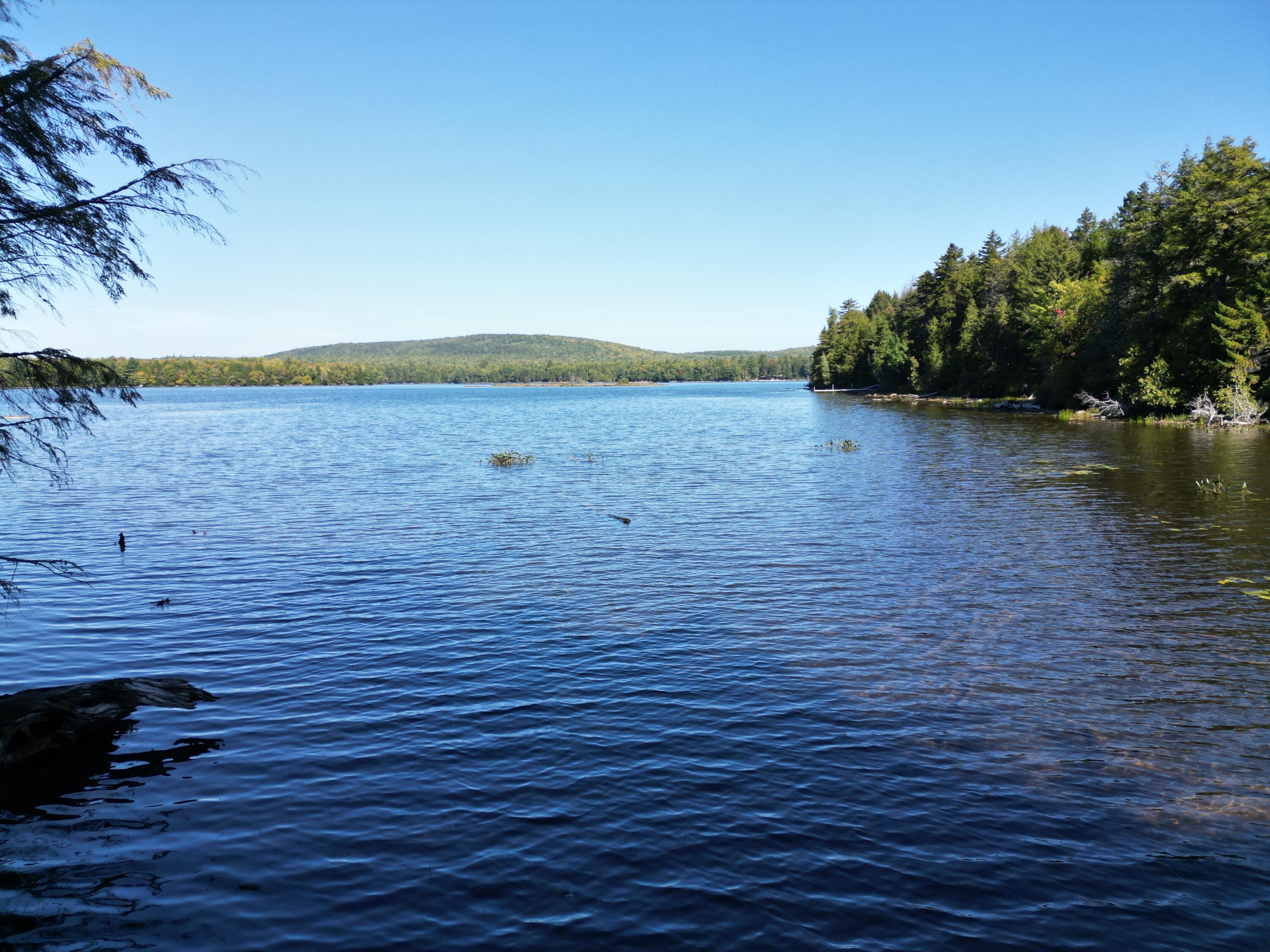 Penobscot County