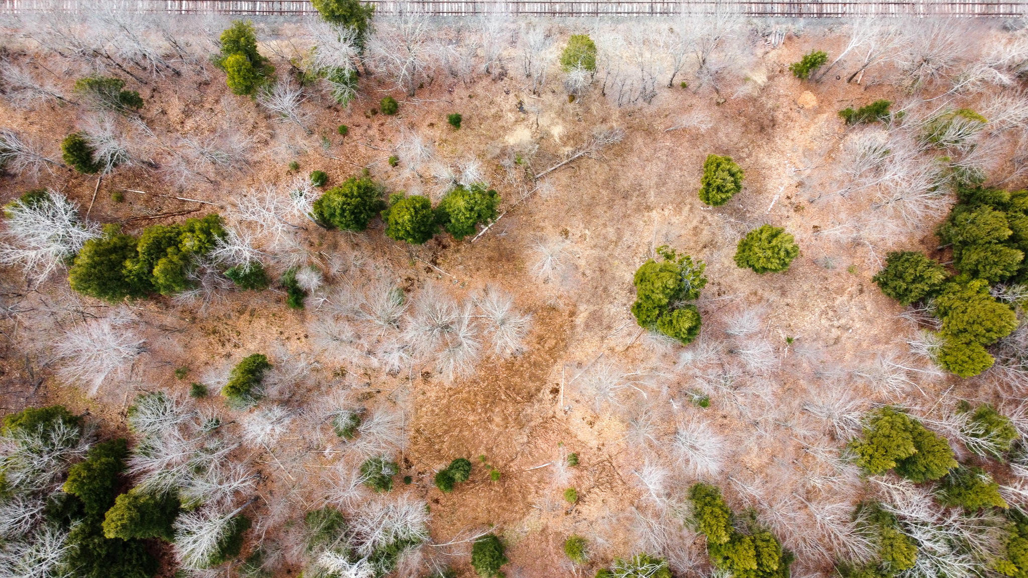 M11L10 Off Gordon Hill Road, Thorndike, ME, 04986