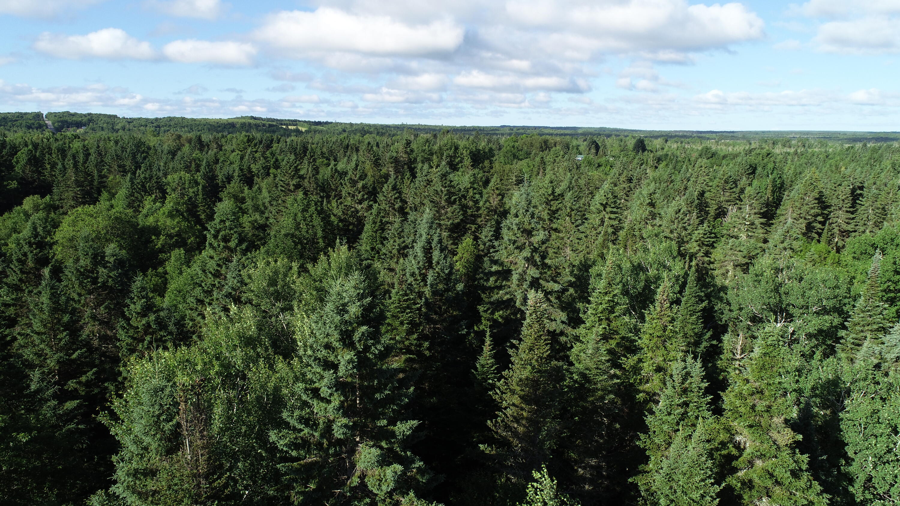 Lot 27 Brewer Road, Cary Plt, ME, 04471