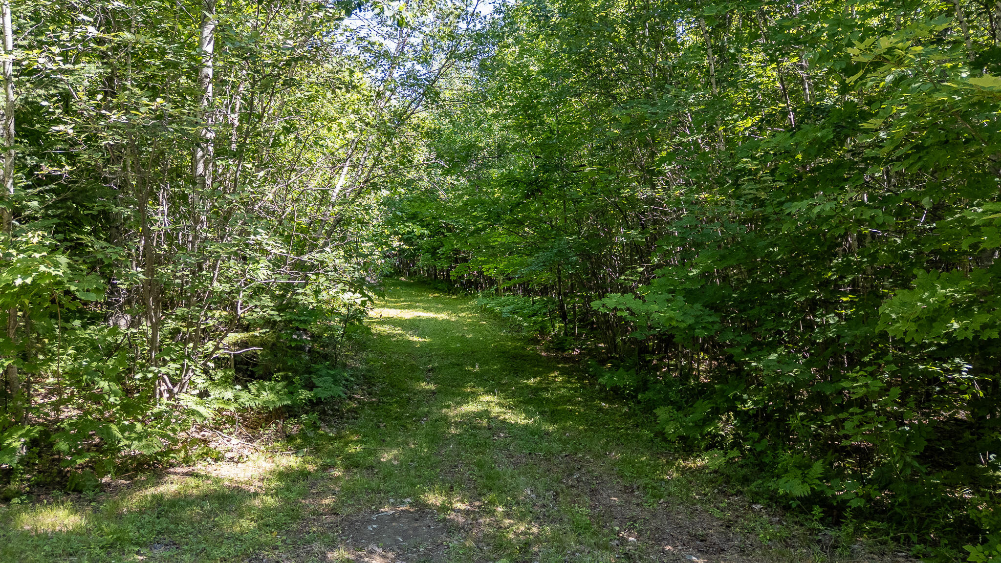 Lot 18-5 Woodland Lane, #Map 2, Brownville, ME 04414 DJI_20260720102149_0112_D