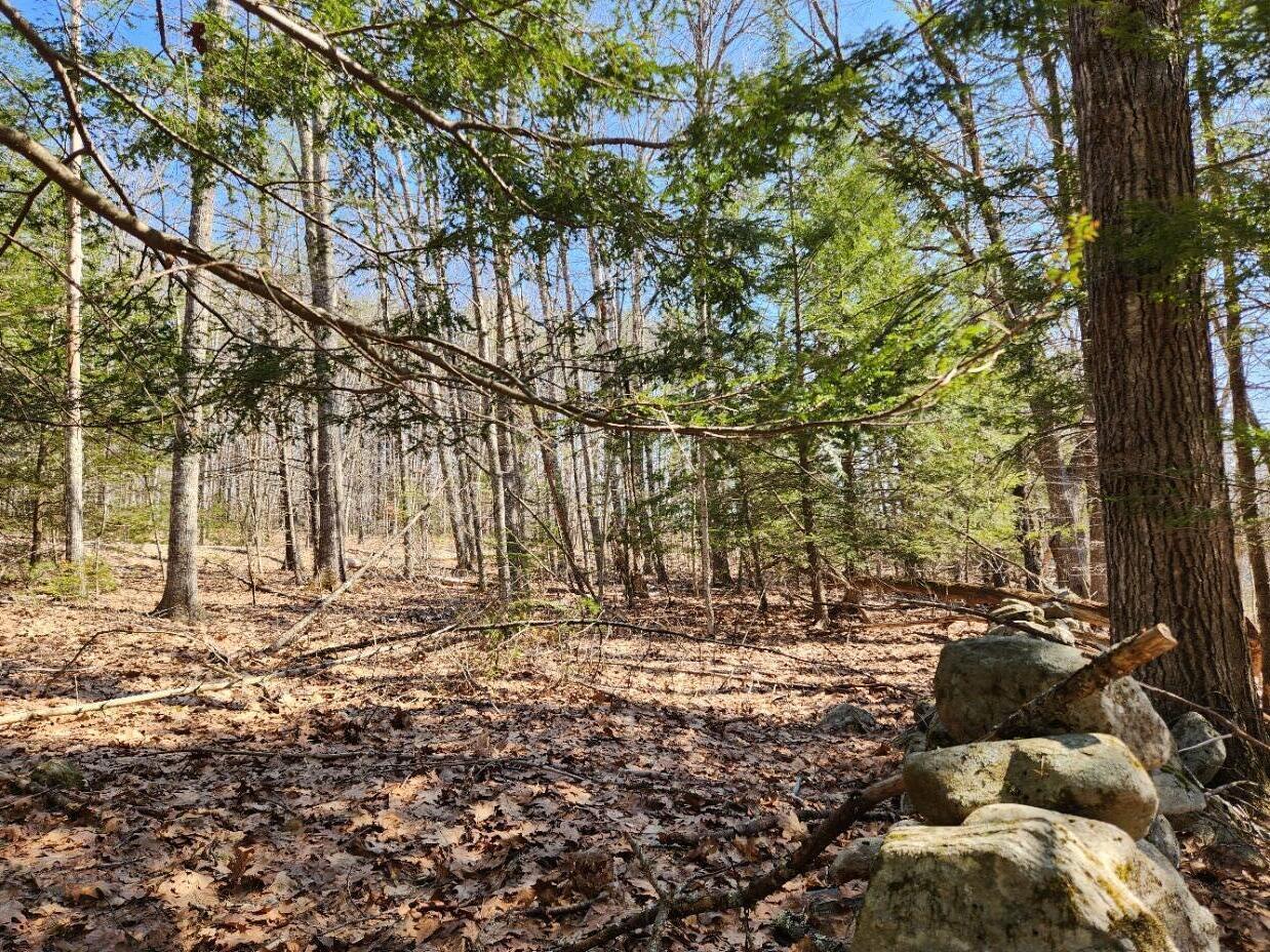 24 Palmer Hill Road, Nobleboro, ME, 04555