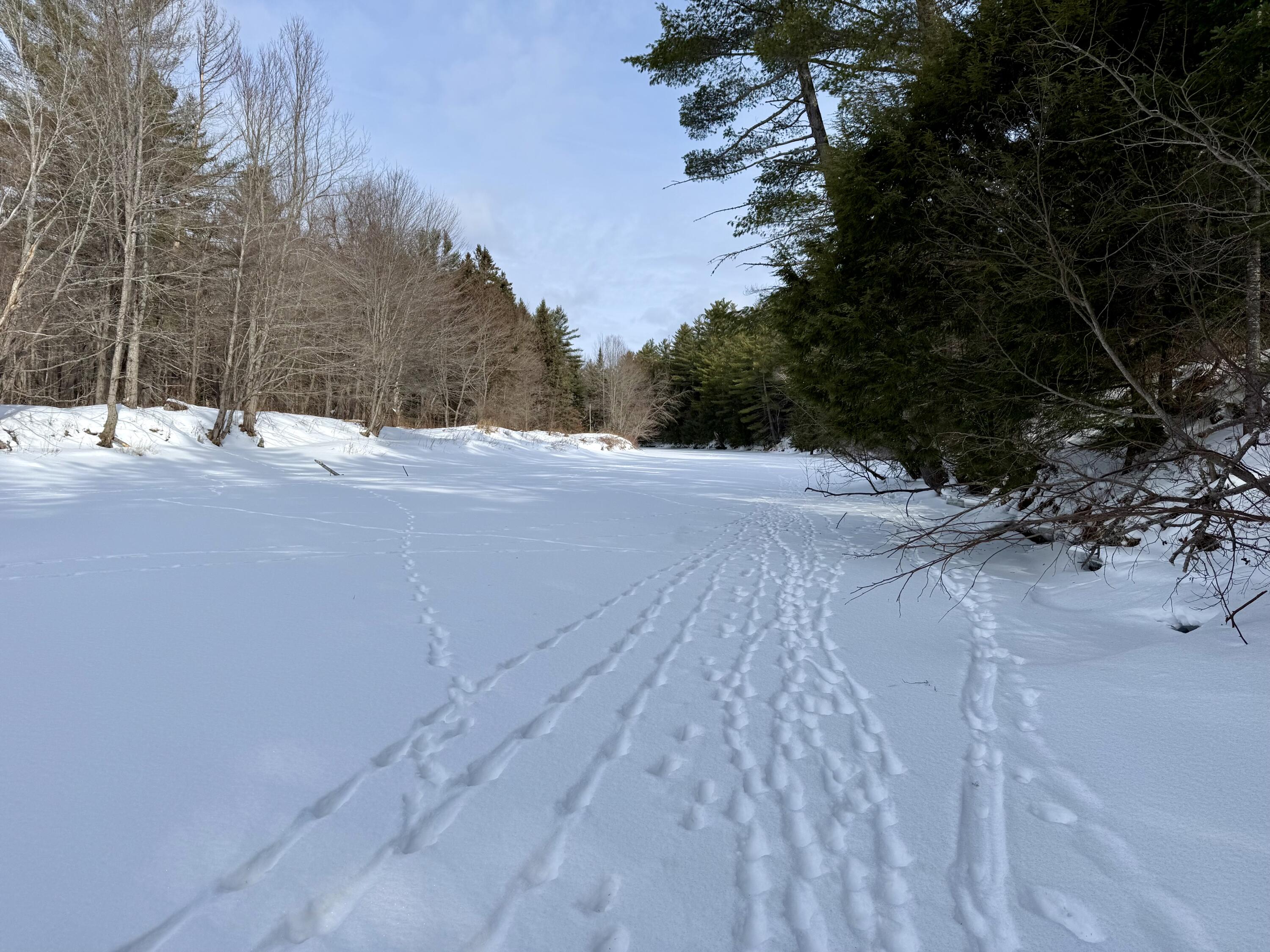 Lot 34 Meadow Wood Drive, Brownville, ME, 04414